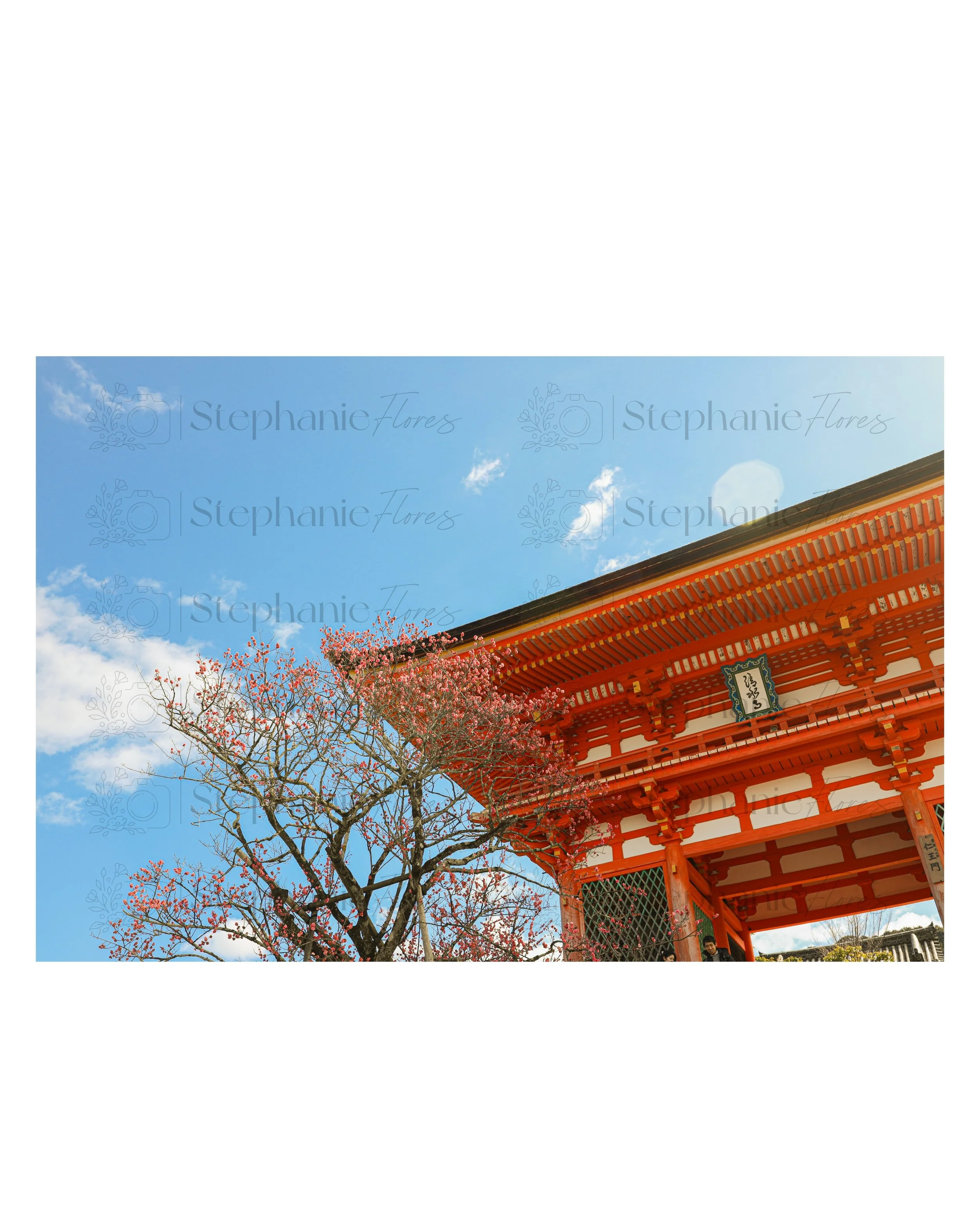 Stephanie Flores Photography - Liminal Light - Fine Art Print Sample