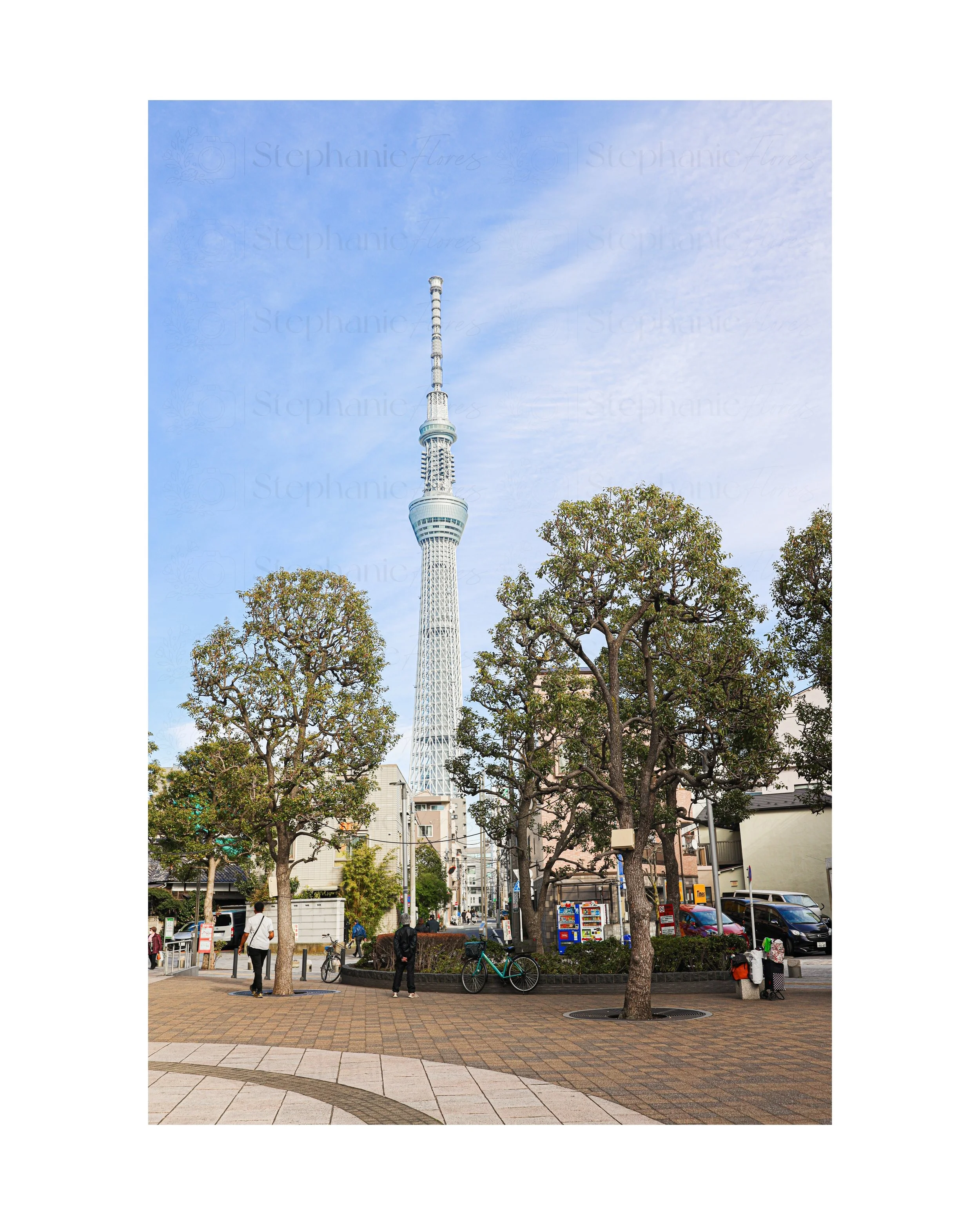 Stephanie Flores Photography - Framed Tower - Fine Art Print Sample
