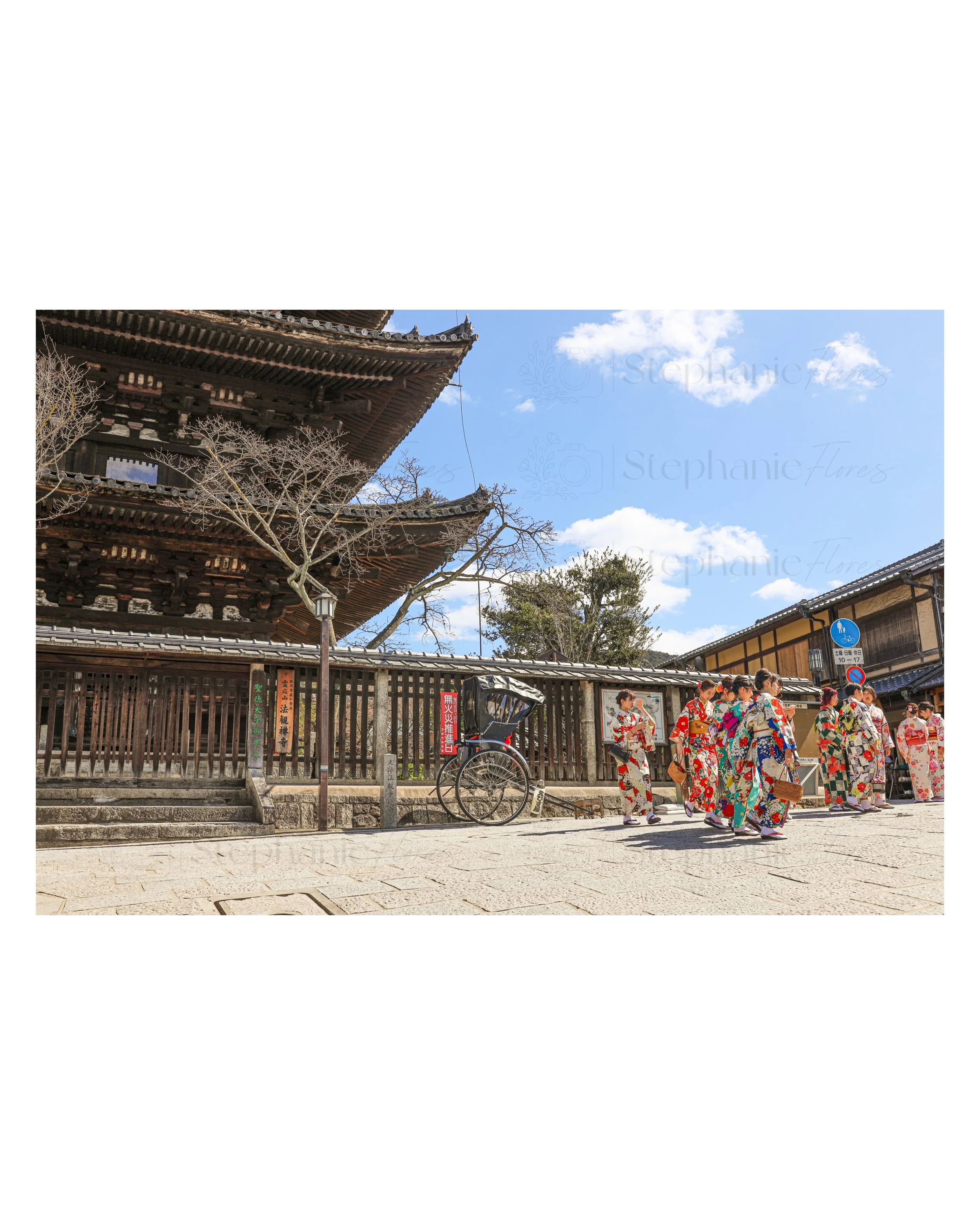 Stephanie Flores - Patterns in Pasing - Fine Art Print Sample