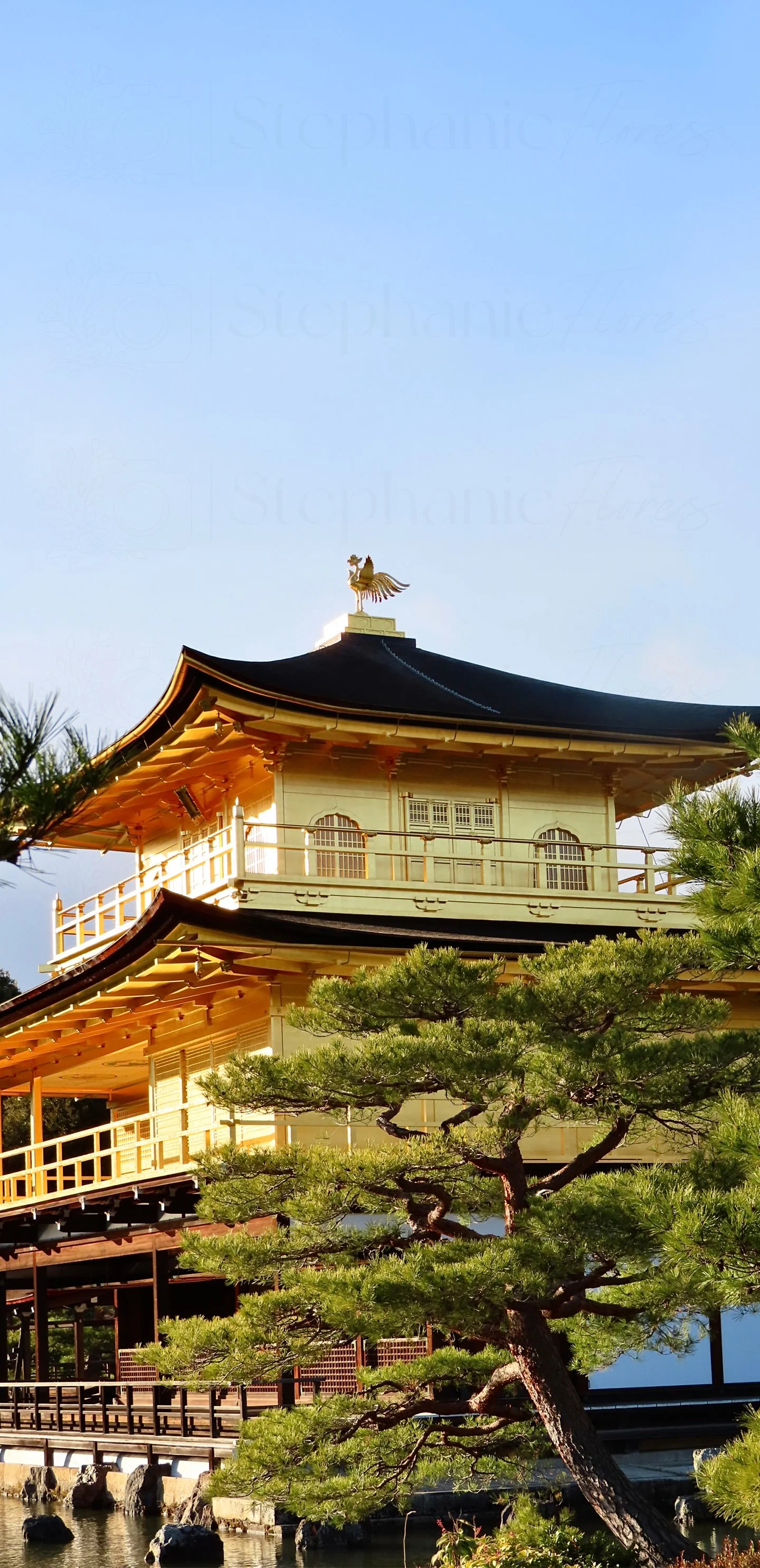 Stephanie Flores - Phone Wall Paper - Golden Pavillion - 1- WM.jpg