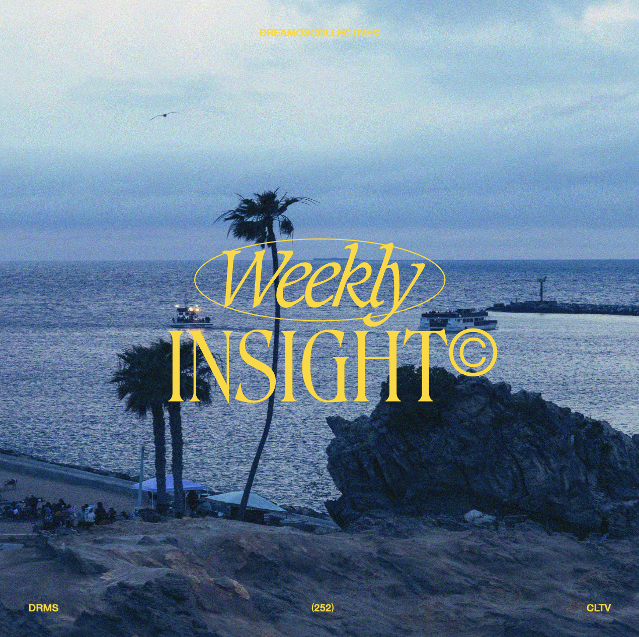 Insight (249)