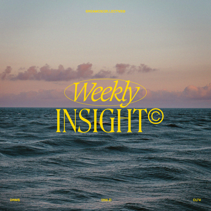 Insight (256)