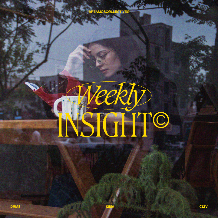 Insight (281)