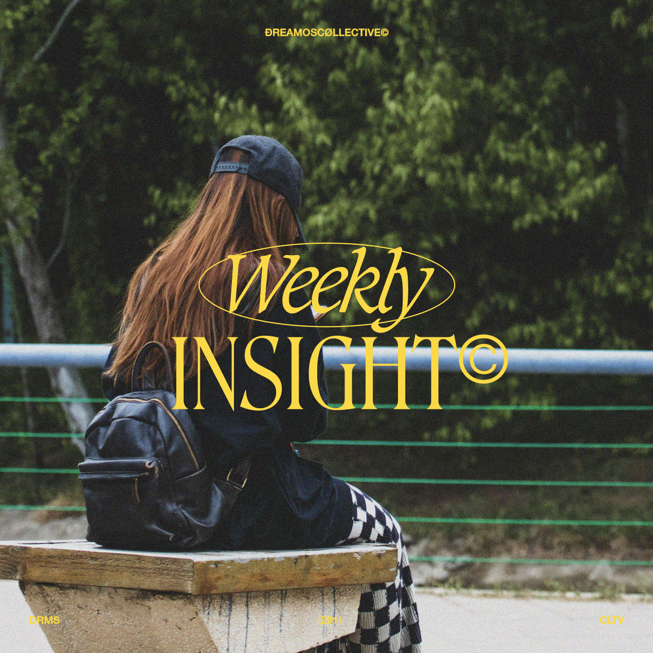 Insight (282)