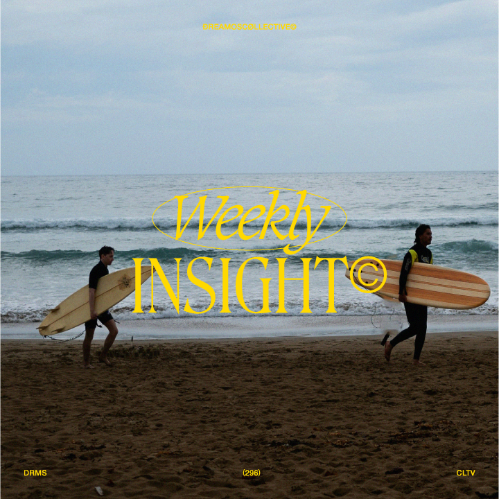 Insight (288) 