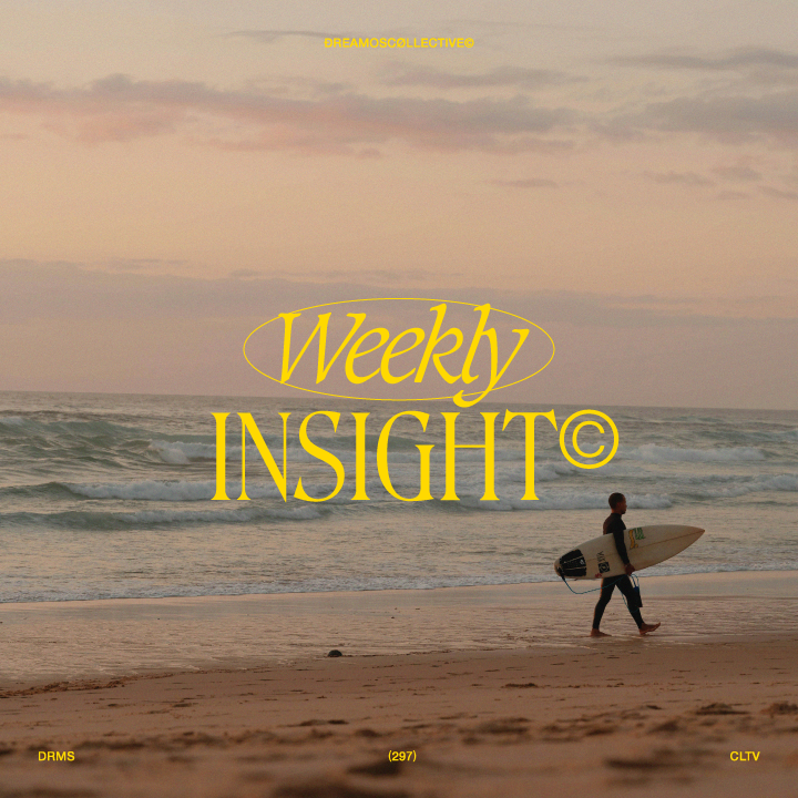 Insight (289)