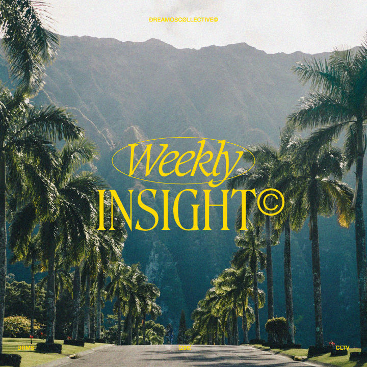 Insight (290)