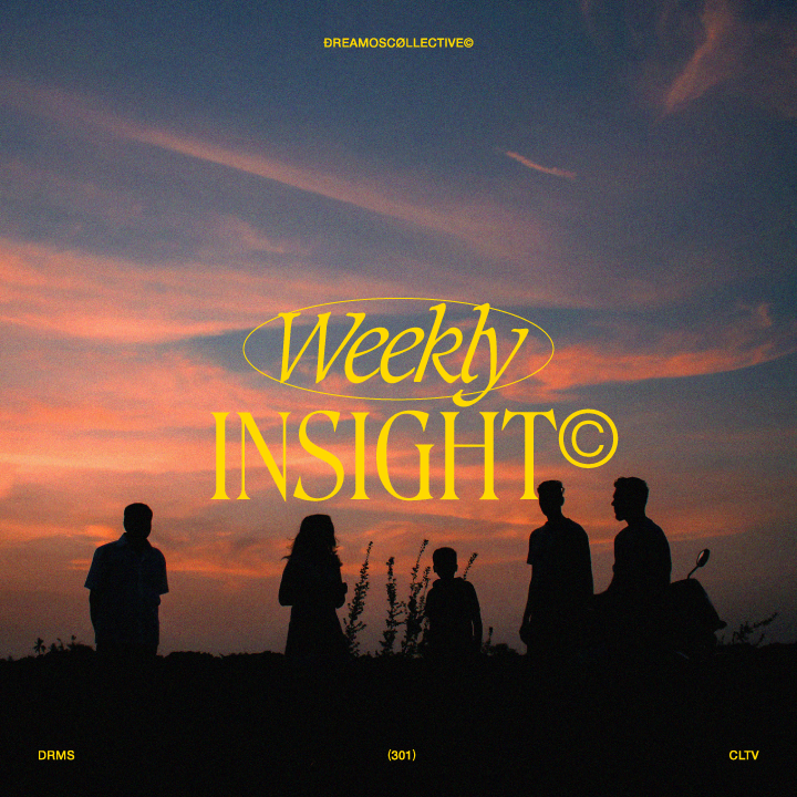 Insight (293)