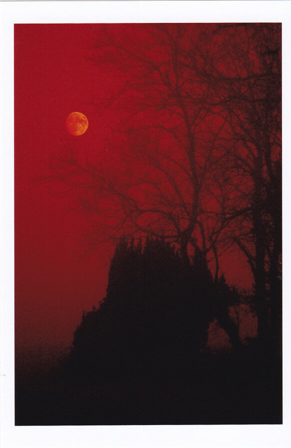113. Deaths Mist I