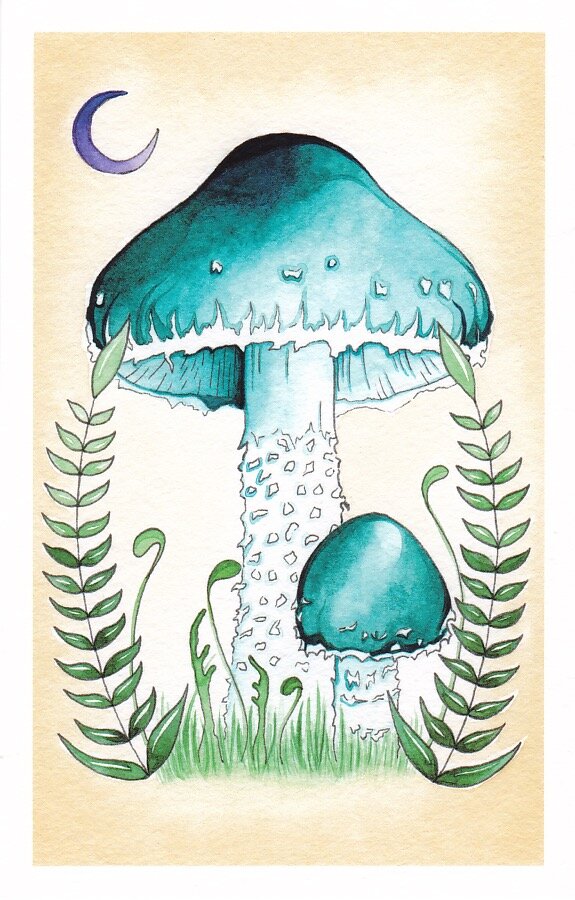 45. Moonlit Blue Roundheads