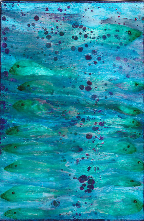 170. Plenty Of Fish In The Sea 3
