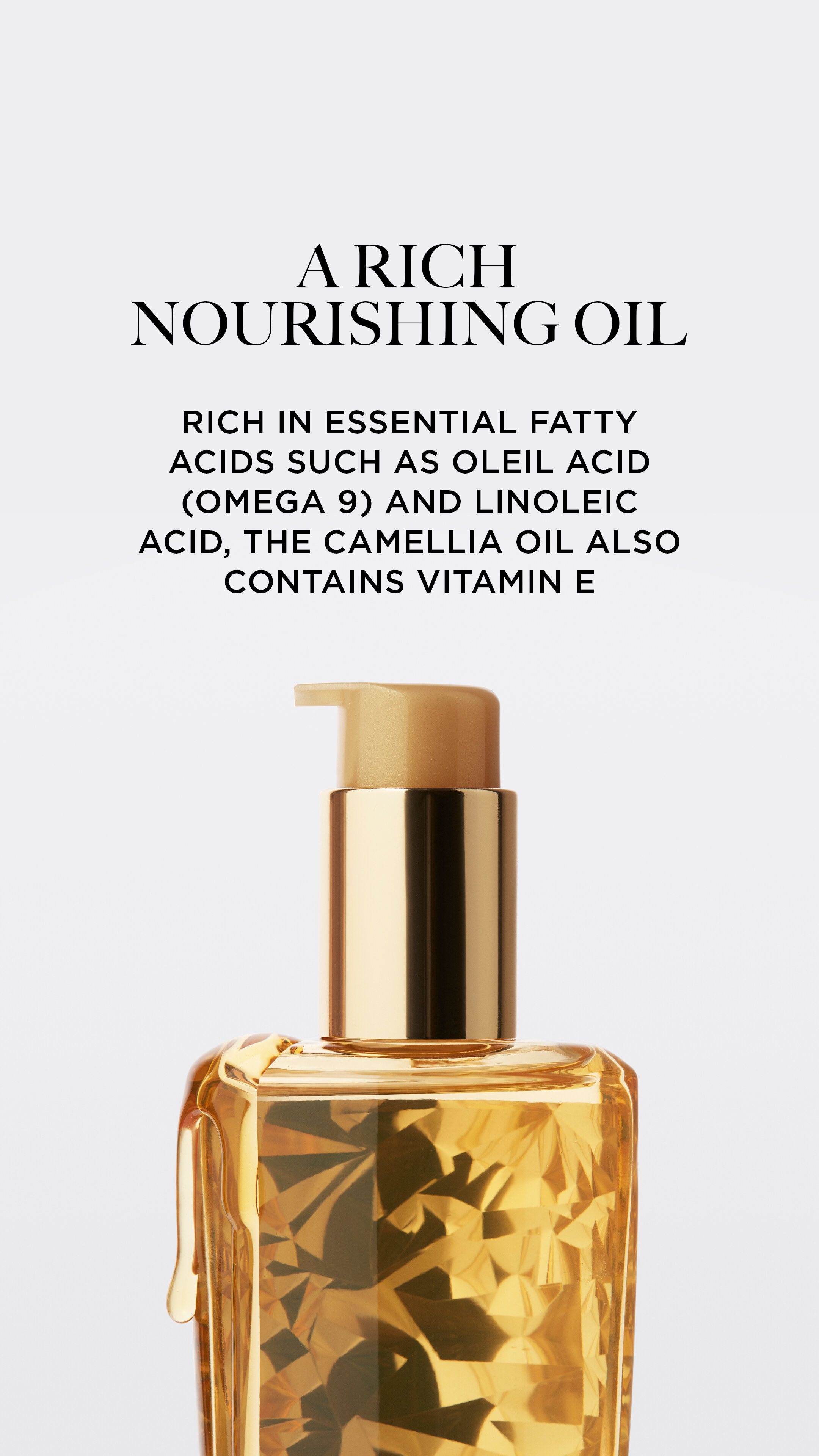 OIL_CAMELLIA_STORY_2-0029575.jpg