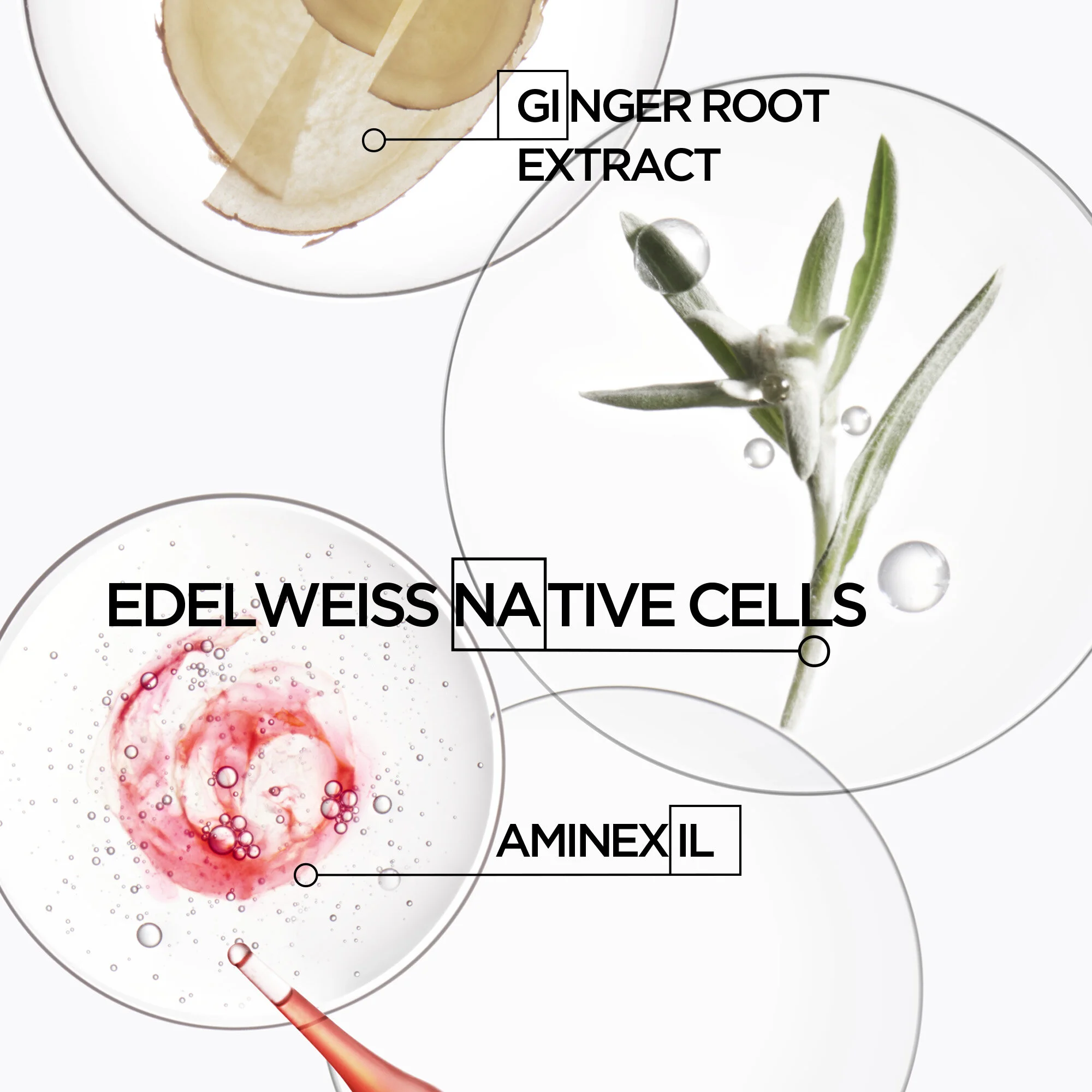 KERASTASE_SCIENCE_GENESIS-CROP-RVB-TEXT-0029102.jpg