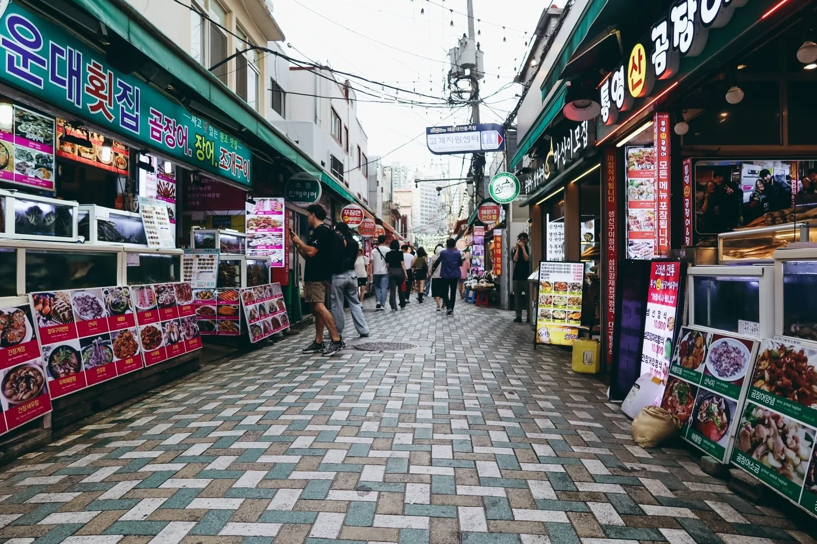 South Korea by Pau Marchant