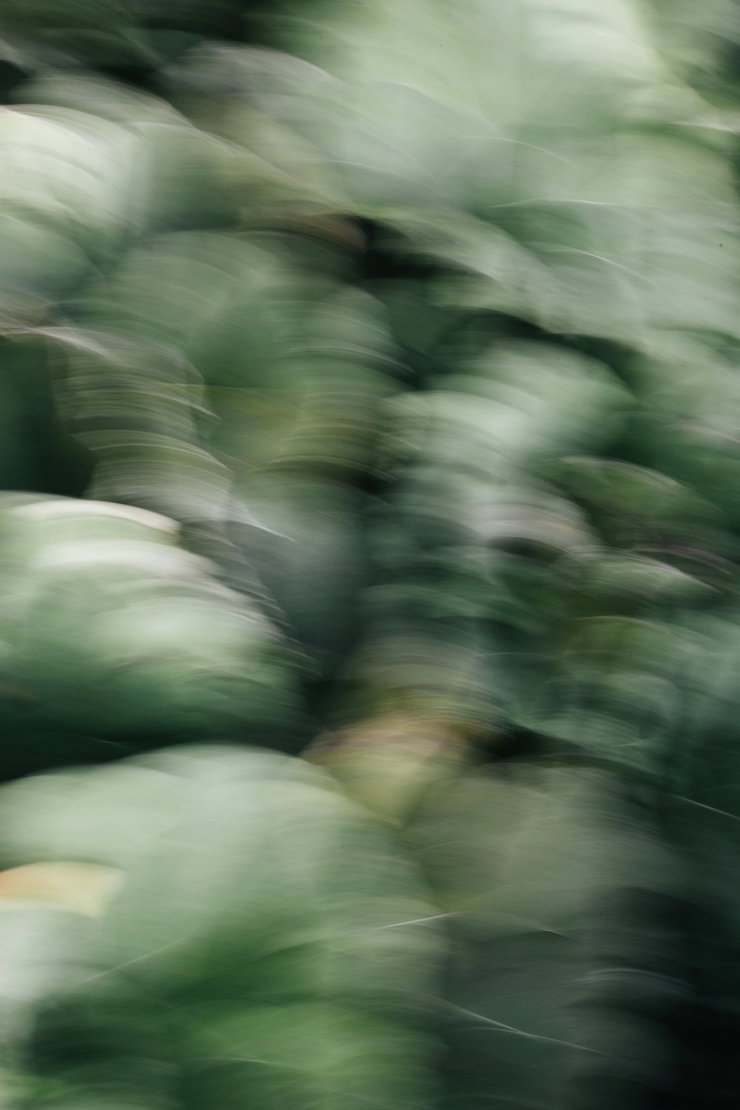 The Simplicity of Noticing