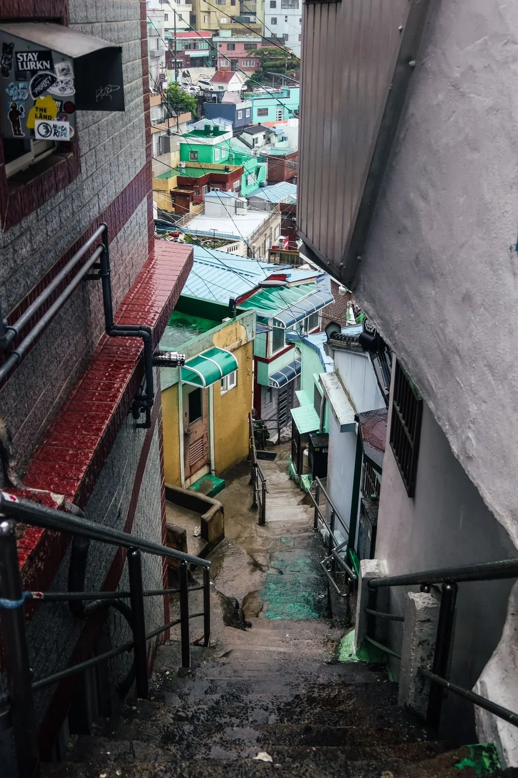 PHOTO-2024-06-08-20-16-29 2.jpg