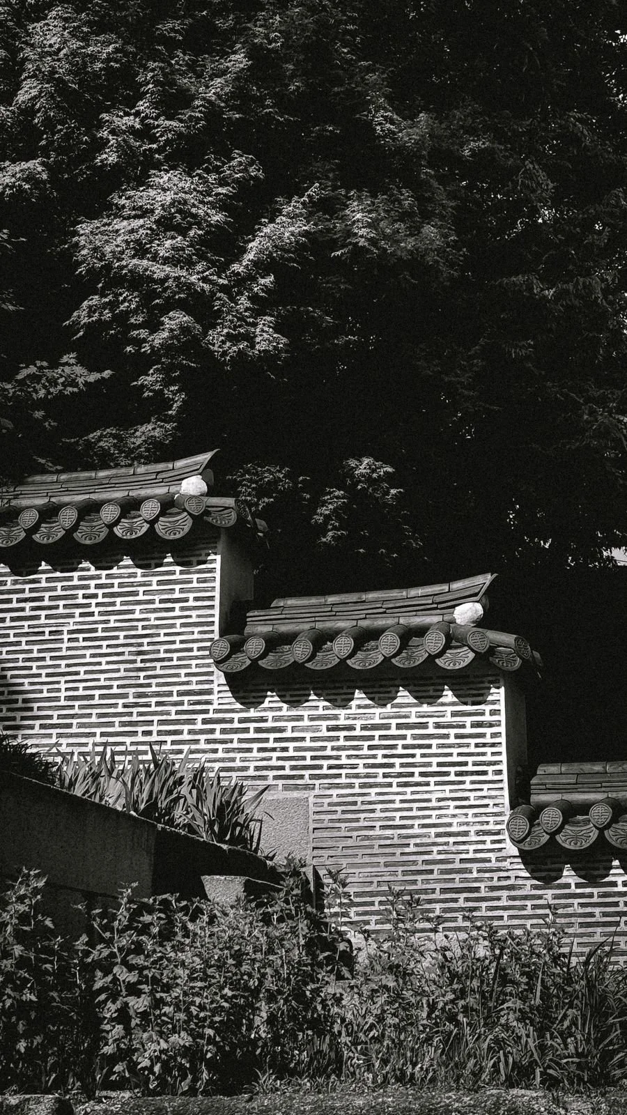 South Korea by Pau Marchant