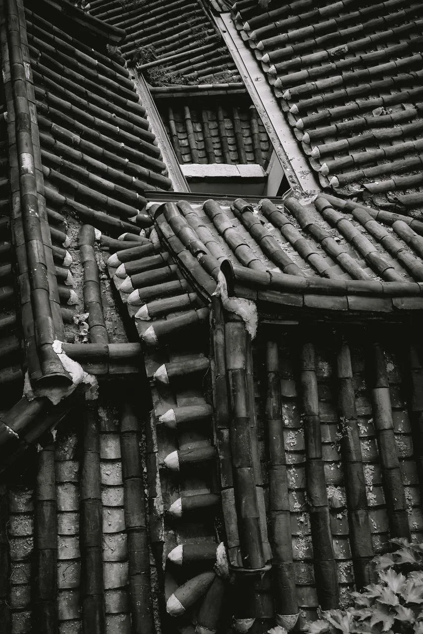 PHOTO-2024-06-06-17-03-52 2.jpg