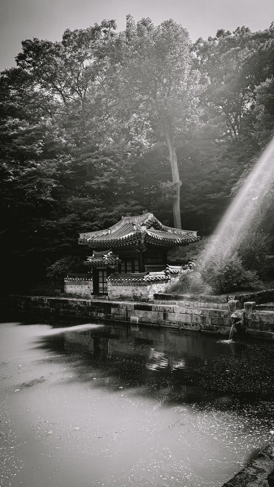 South Korea by Pau Marchant