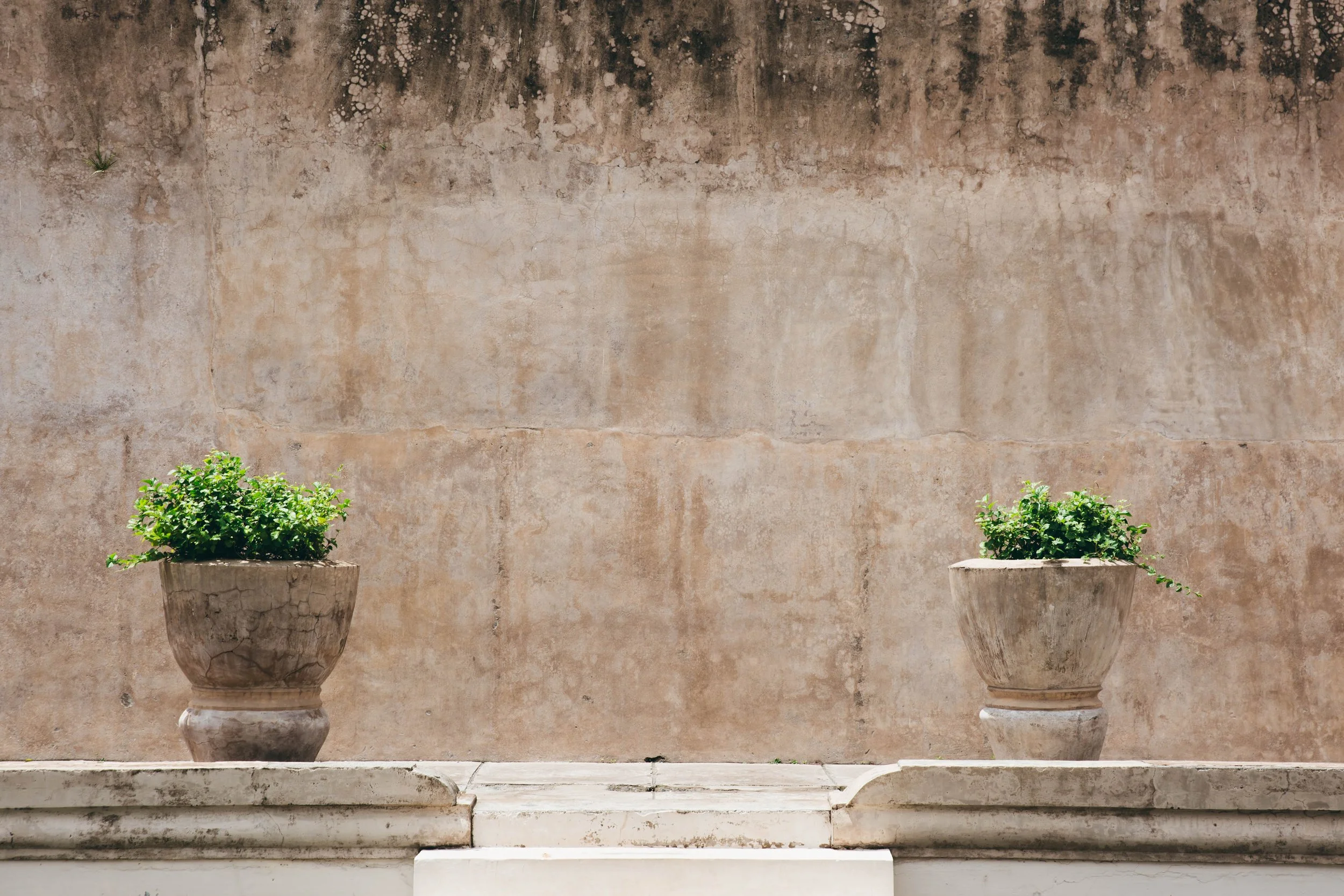 pau marchant photo/ Yogyakarta