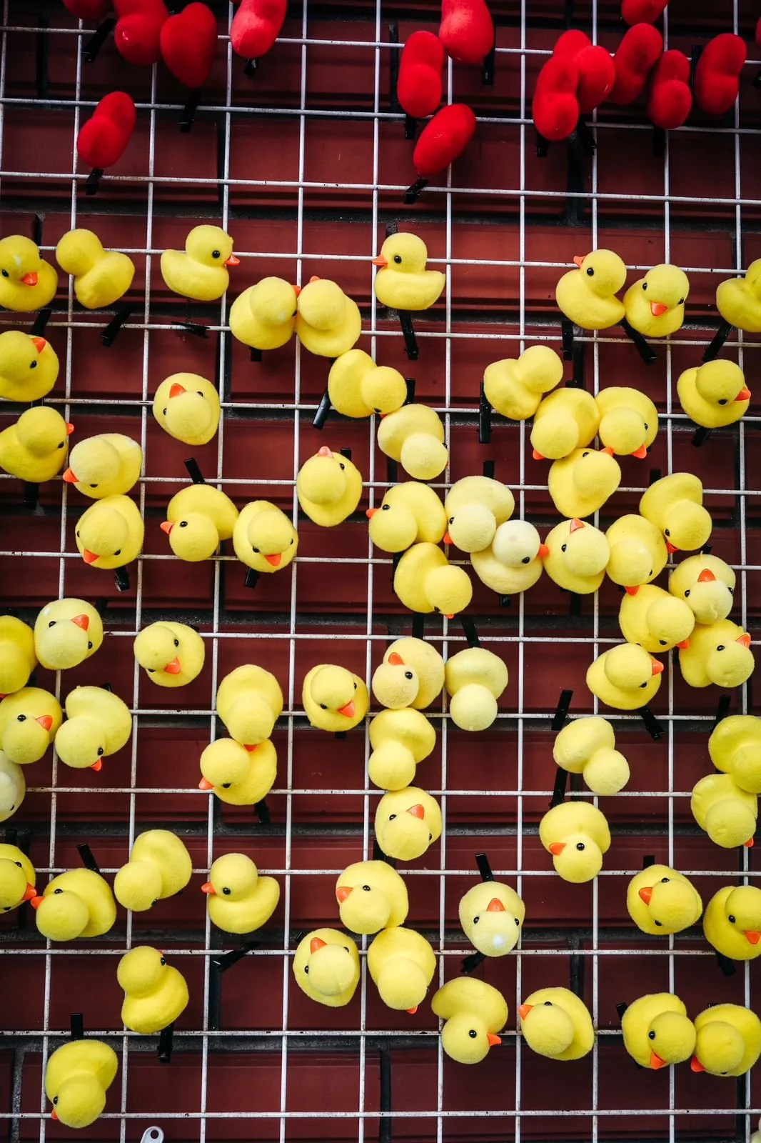 South Korea by Pau Marchant