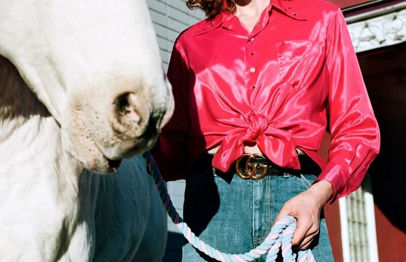 yorgos-lanthimos-for-gucci-spring-summer-2020-alessandro-michele-of-course-a-horse-10.jpg