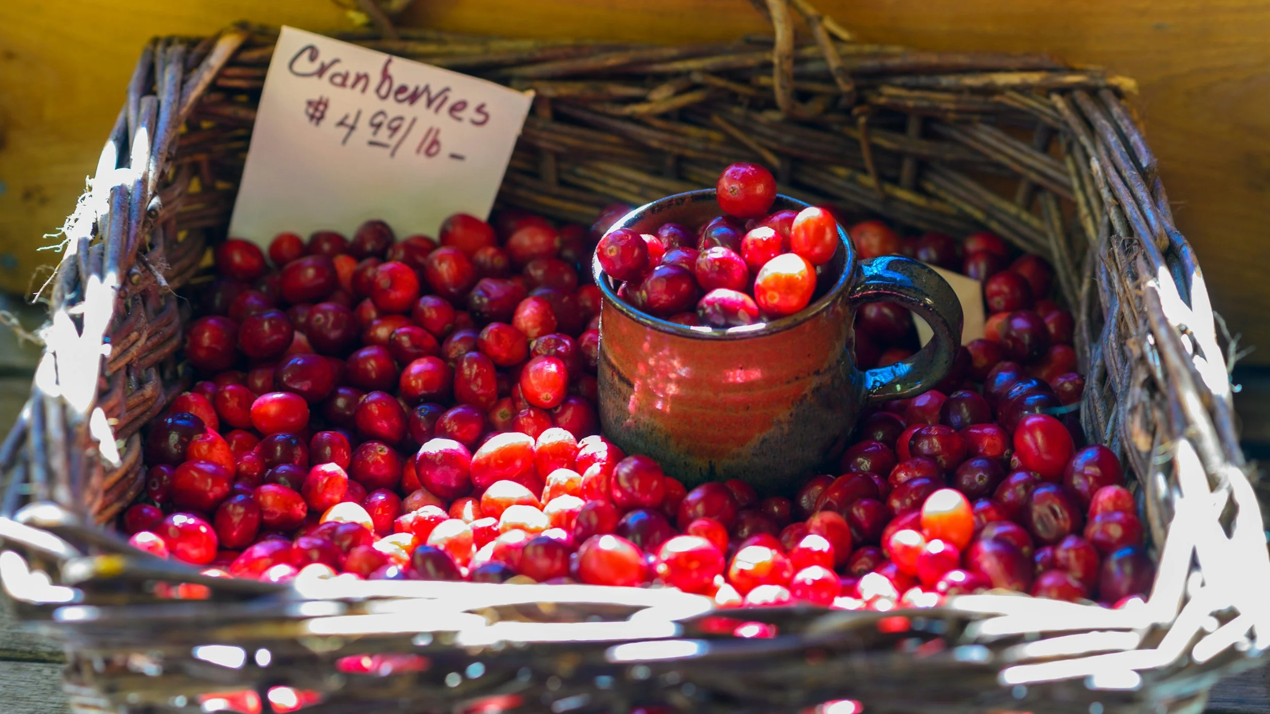 Cranberry Sauce