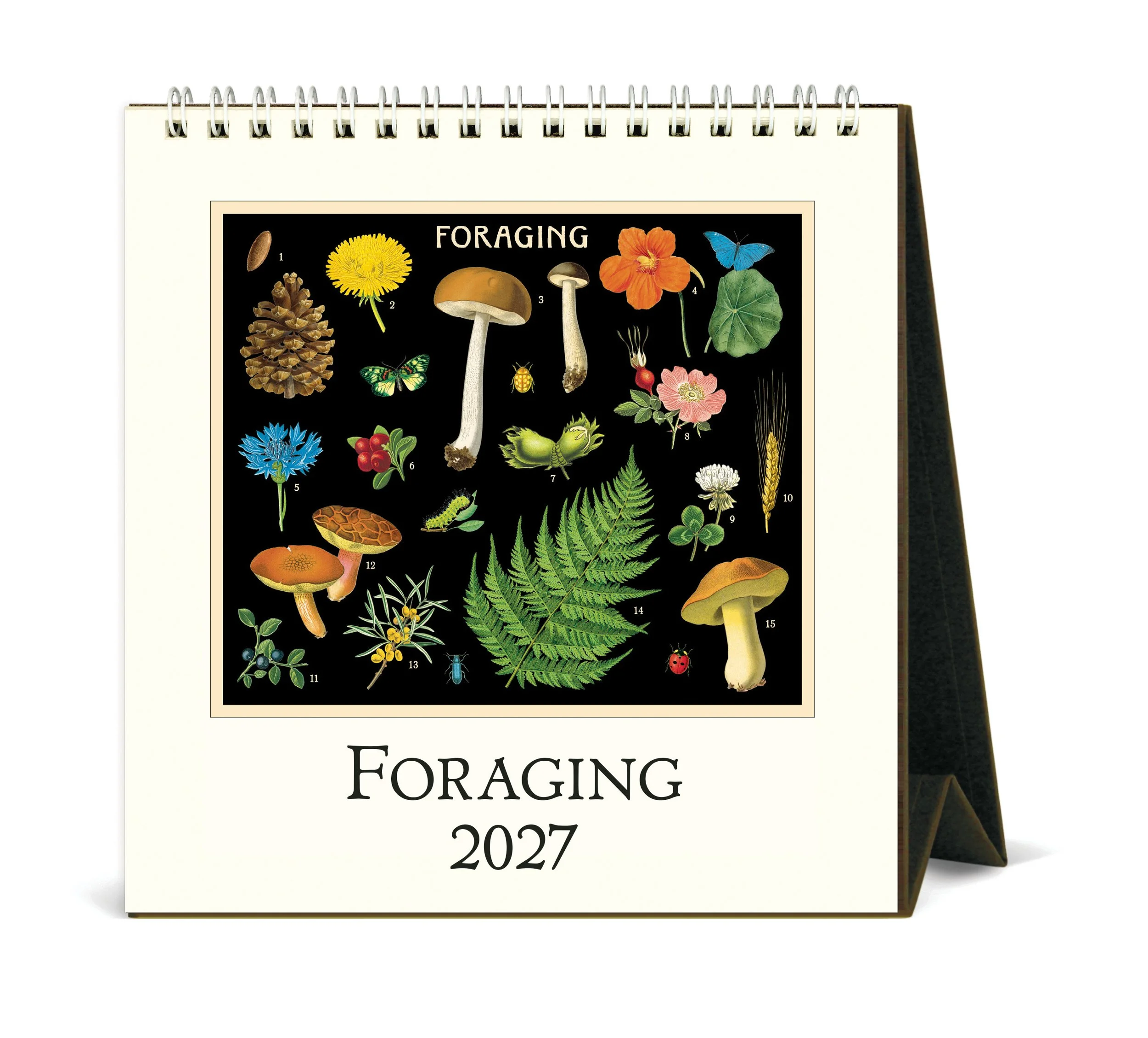 CAL27_4_Foraging_Desk.jpg
