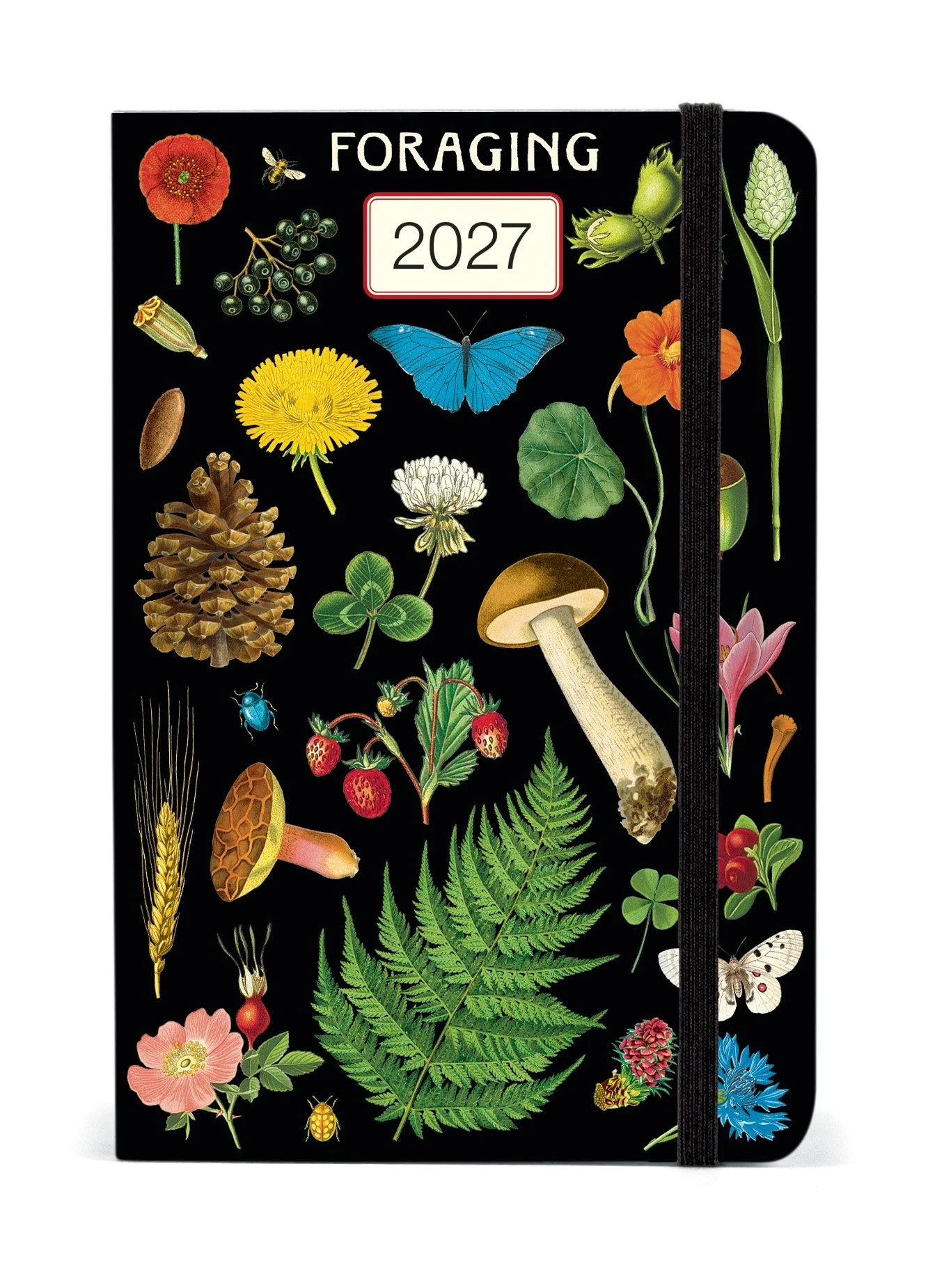 AG2027_FORAGE.jpg