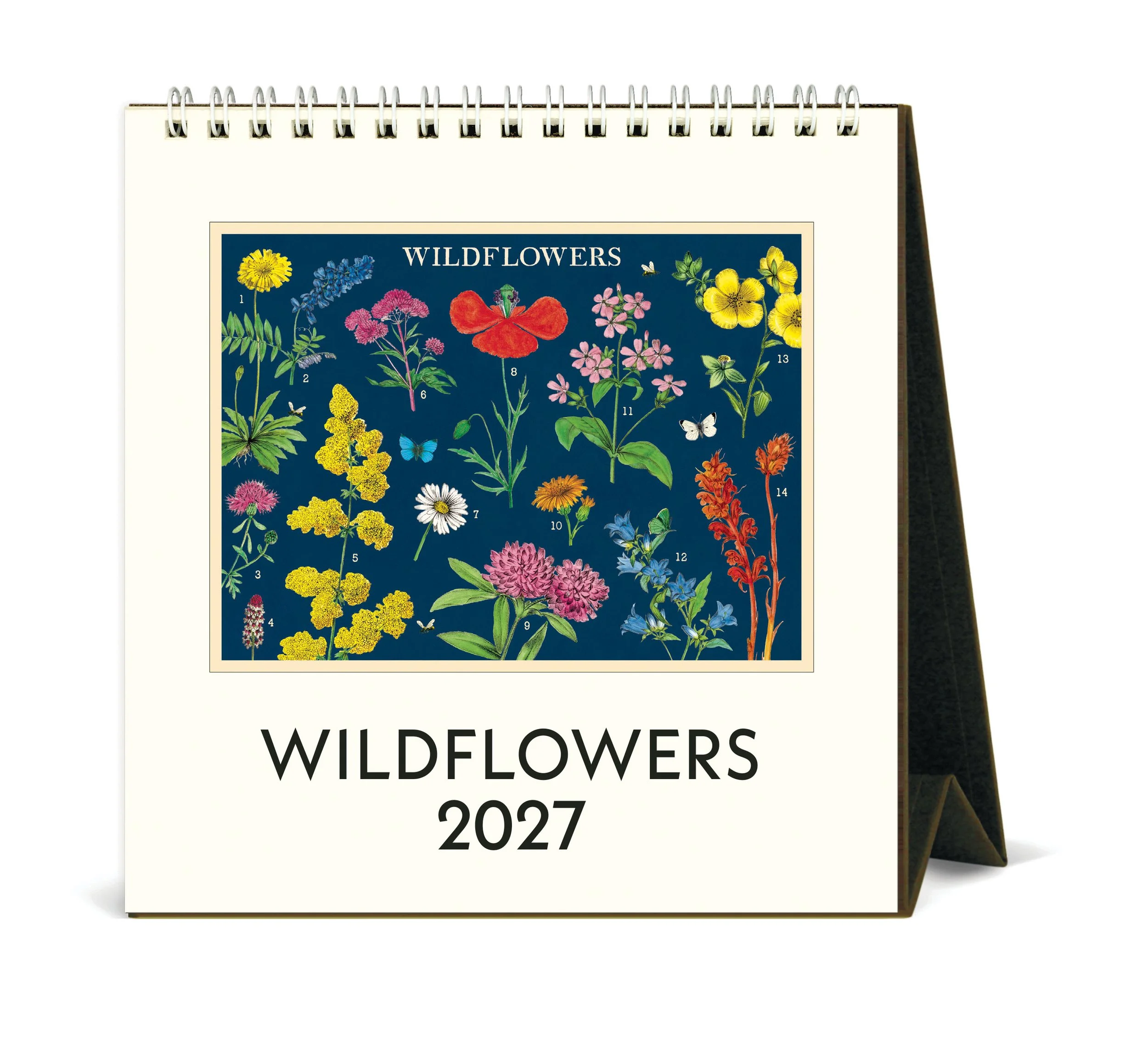 CAL27_6_Wildflowers_Desk.jpg