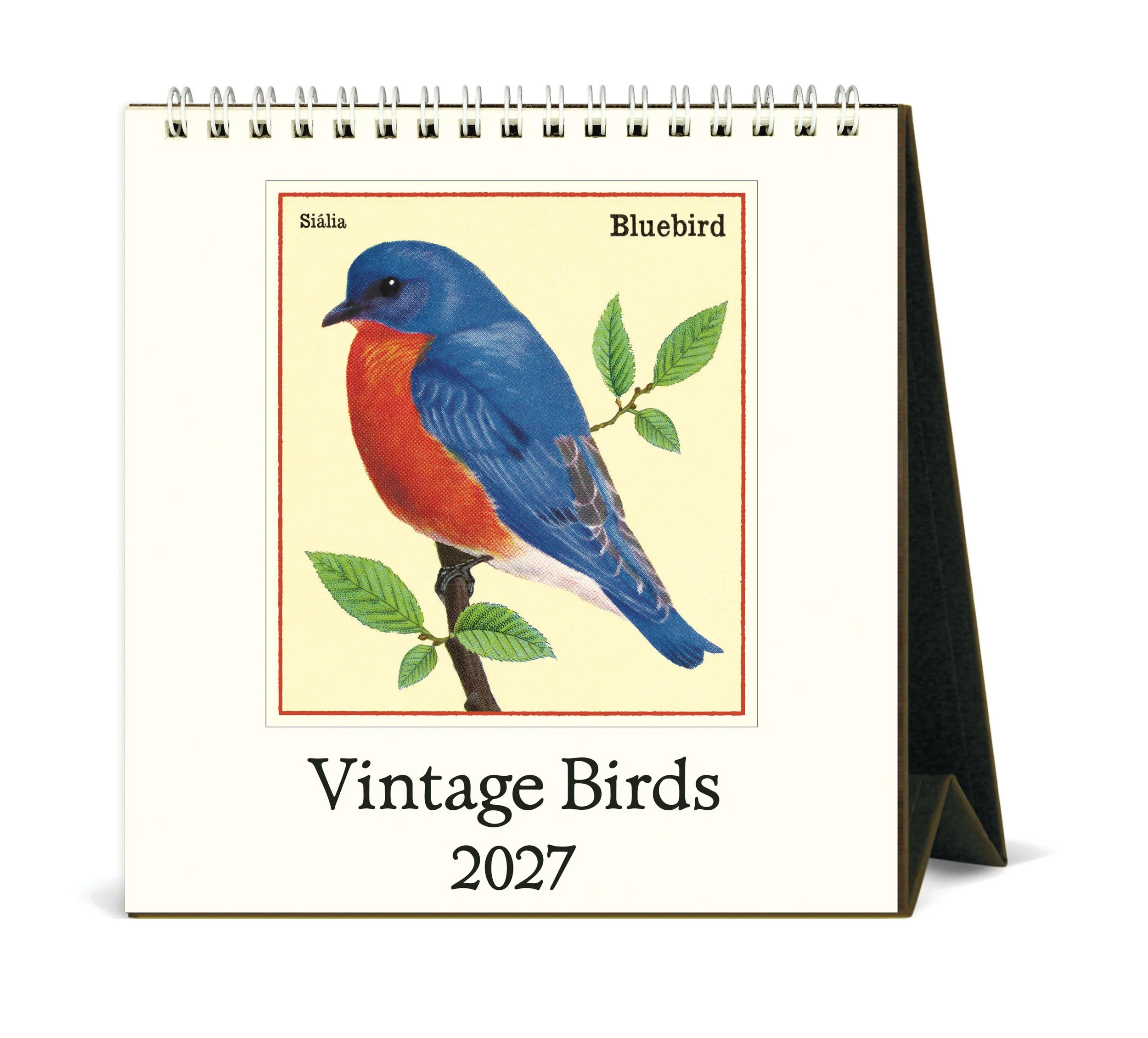 CAL27_8_VintageBirds_Desk.jpg