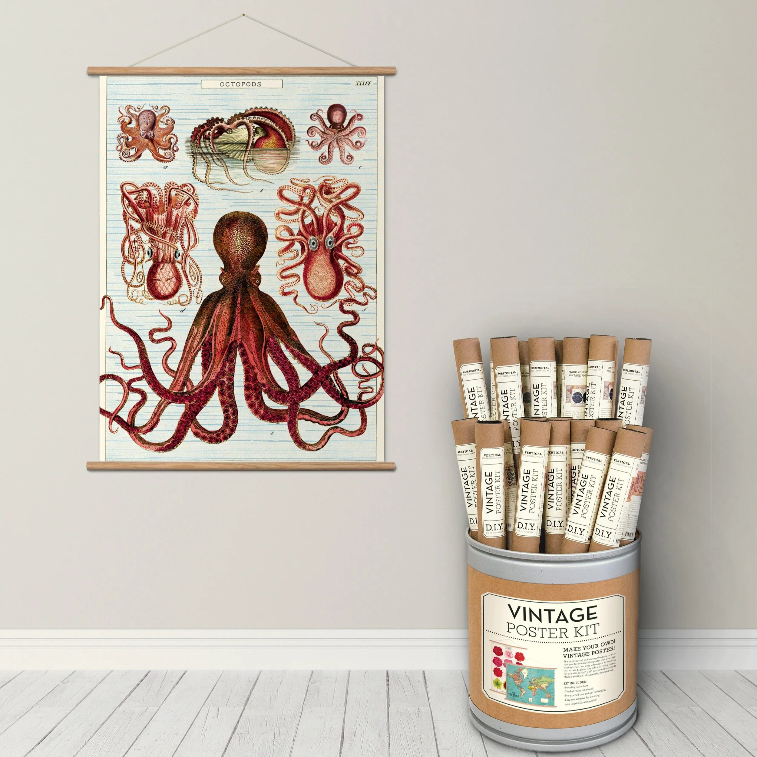 Cavallini Papers & Co.