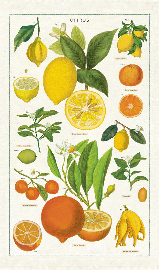 TT_CITRUS.jpg