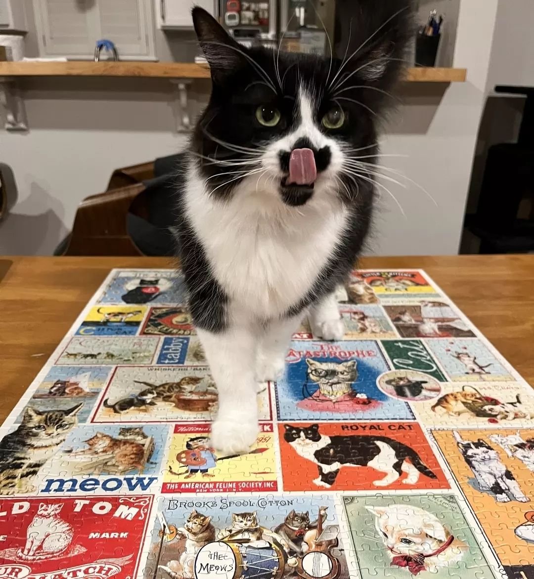 Your pets 🤝🏼 Cavallini Puzzles
Check out Gimlet doing a fabulous job modeling our our 1,000 piece Cats &amp; Kittens Puzzle 🐈

We love your Puzzle Pets! Use hashtag #cavallinipets or shoot us a message to have your pet featured next! 🐾
📸: @ giml