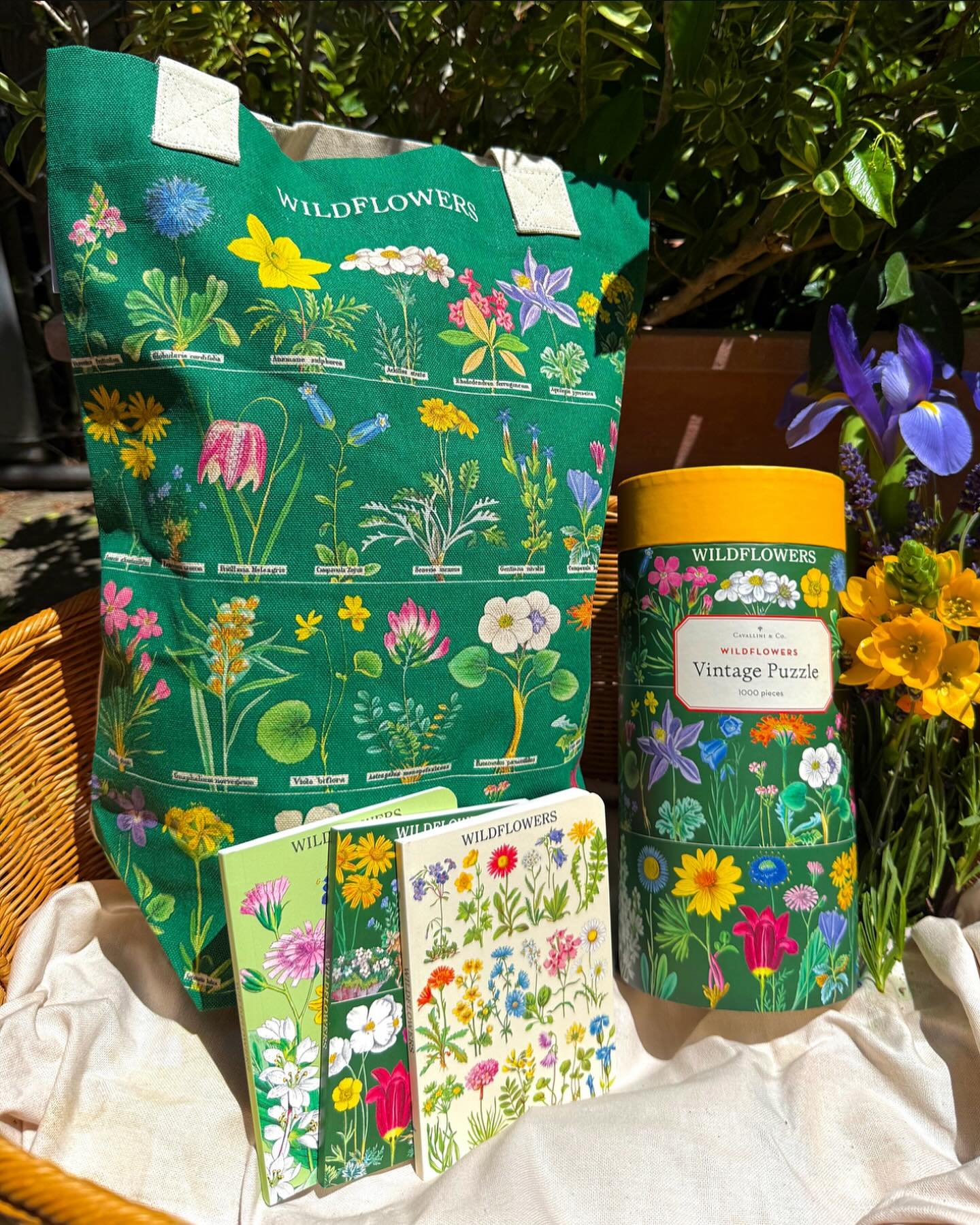 Stop and smell the wildflowers! 🌼