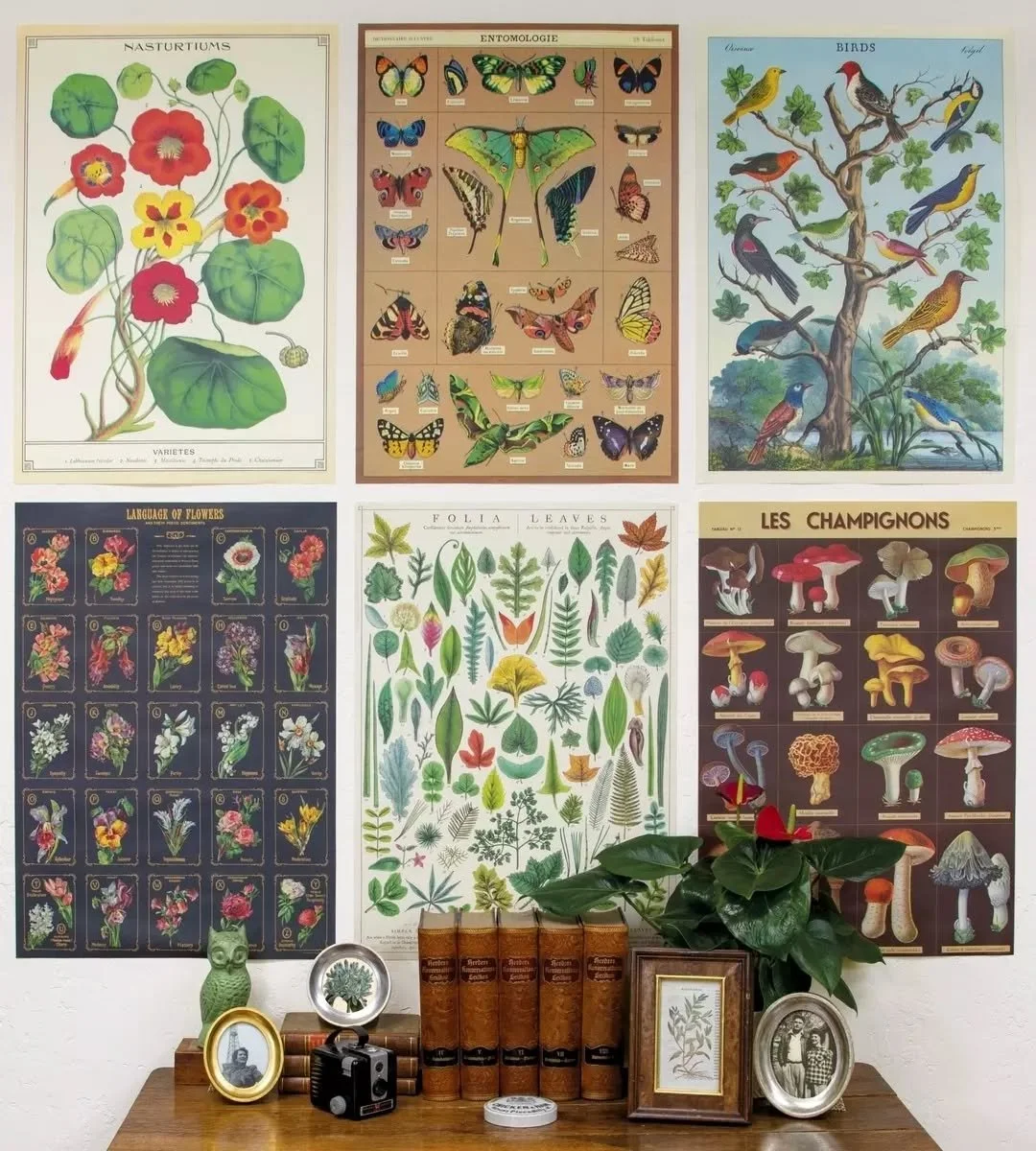 GIVEAWAY! Spice up your walls for fall, y&rsquo;all 🎃🍂

Cavallini &amp; Co. has been using vintage images from our archives to create original poster designs for over three decades.

But did you know our papers were initially intended for use as gi