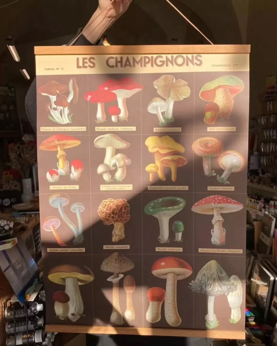 Fresh fall vibes that are always golden hour-approved😌

📸: @umbra_palena