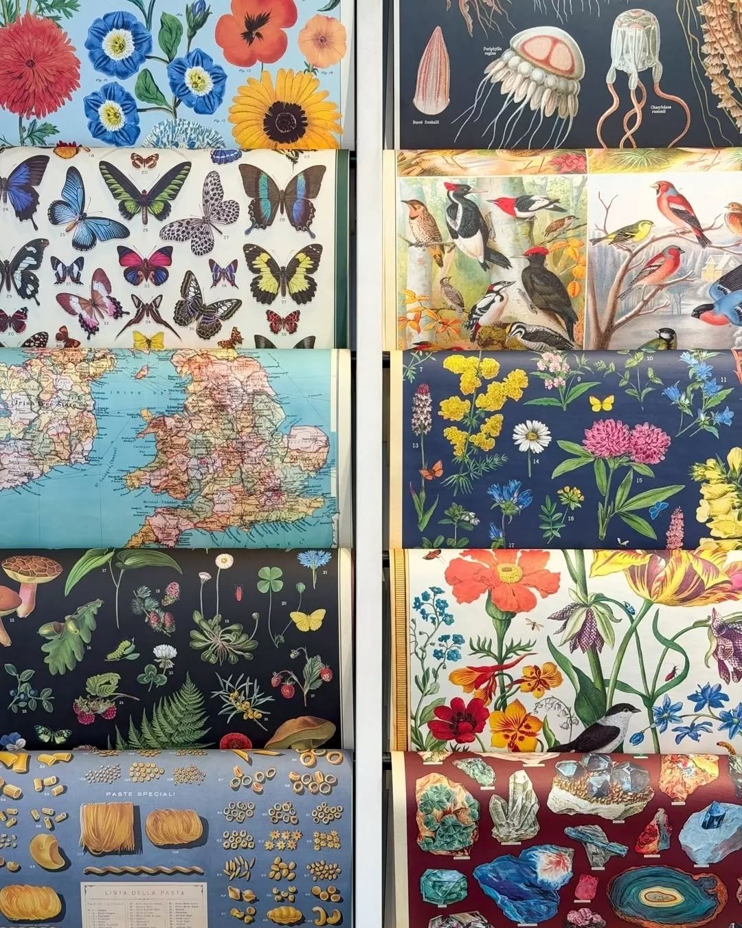 All the pretty paper 🦋 🍄🌻 🗺️ 🐦 🍄 🍝 💎

📸: @yooletta