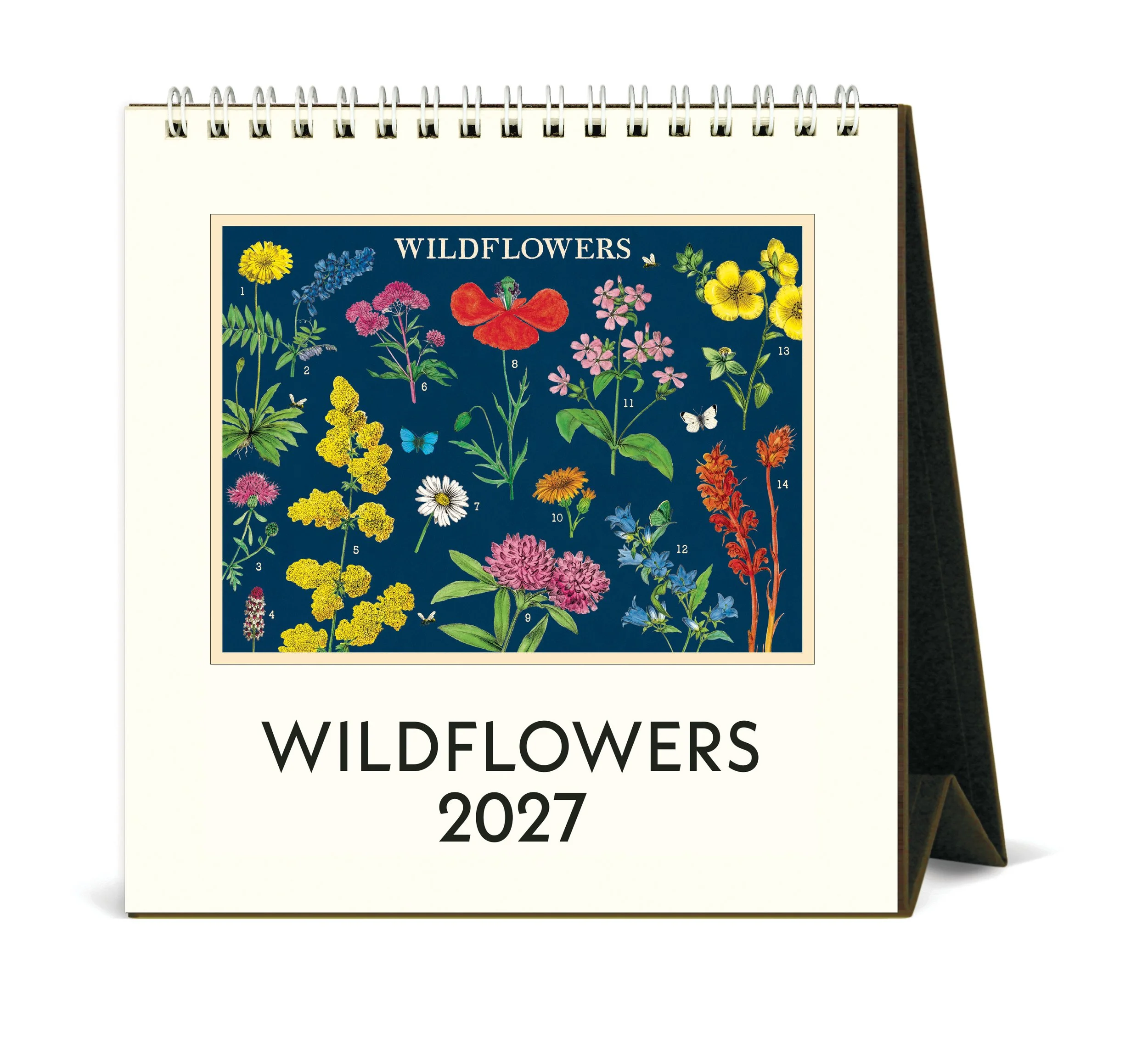 CAL27_6_Wildflowers_Desk.jpg