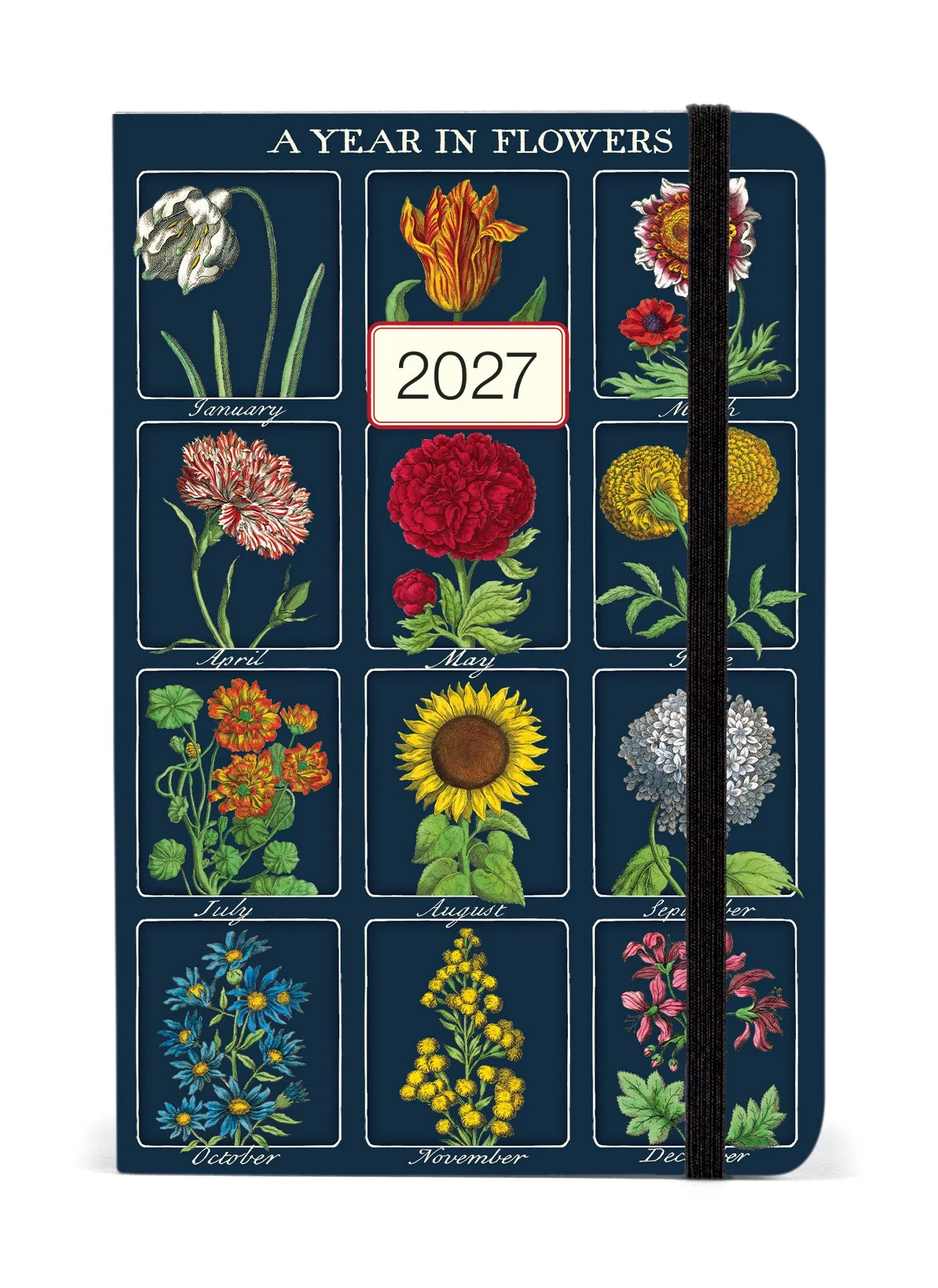 AG2027_YRFLR.jpg