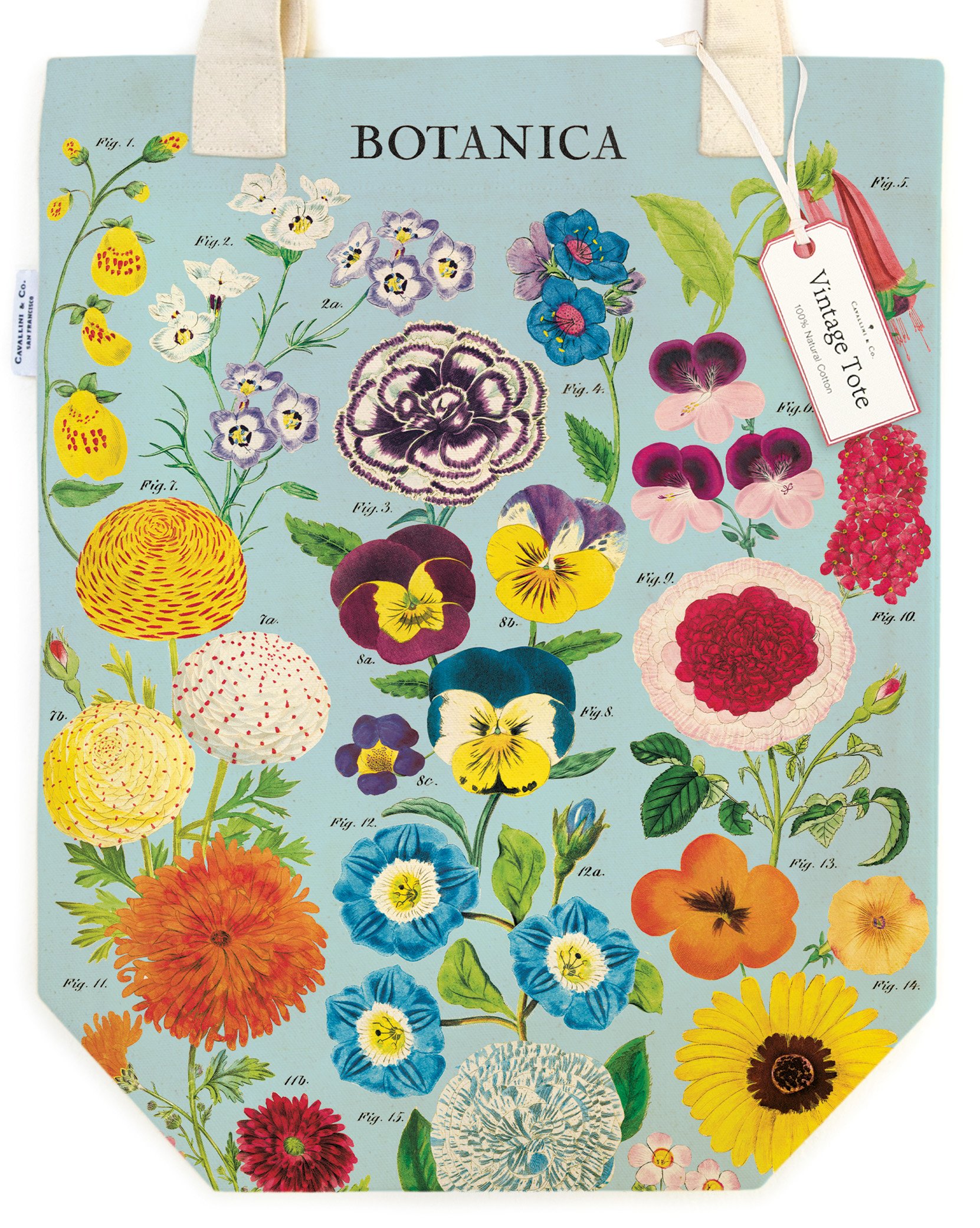 TB_BOTANICA_2.jpg