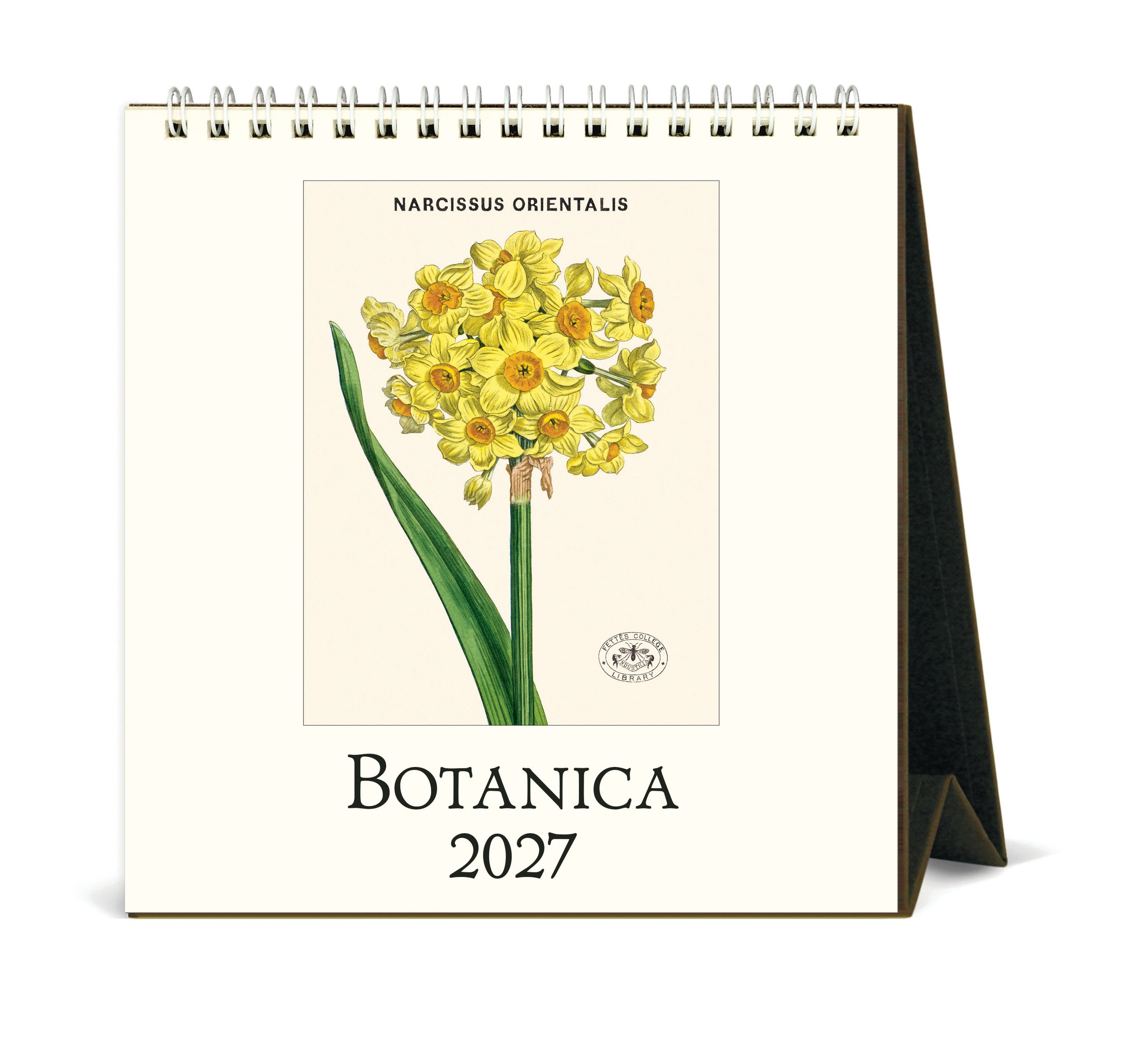 CAL27_20_Botanica_Desk.jpg