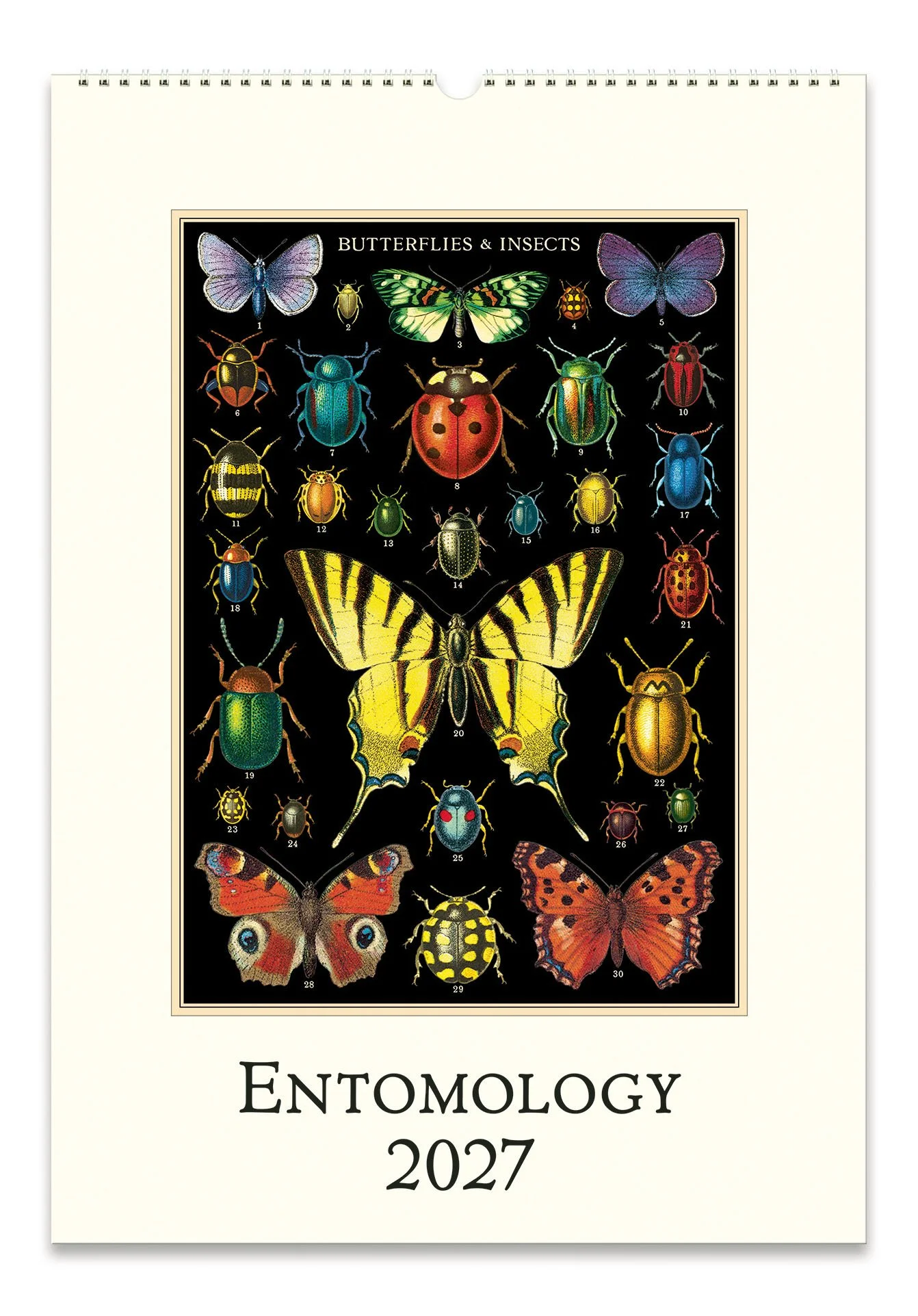CAL27_27_Entomology_Wall.jpg