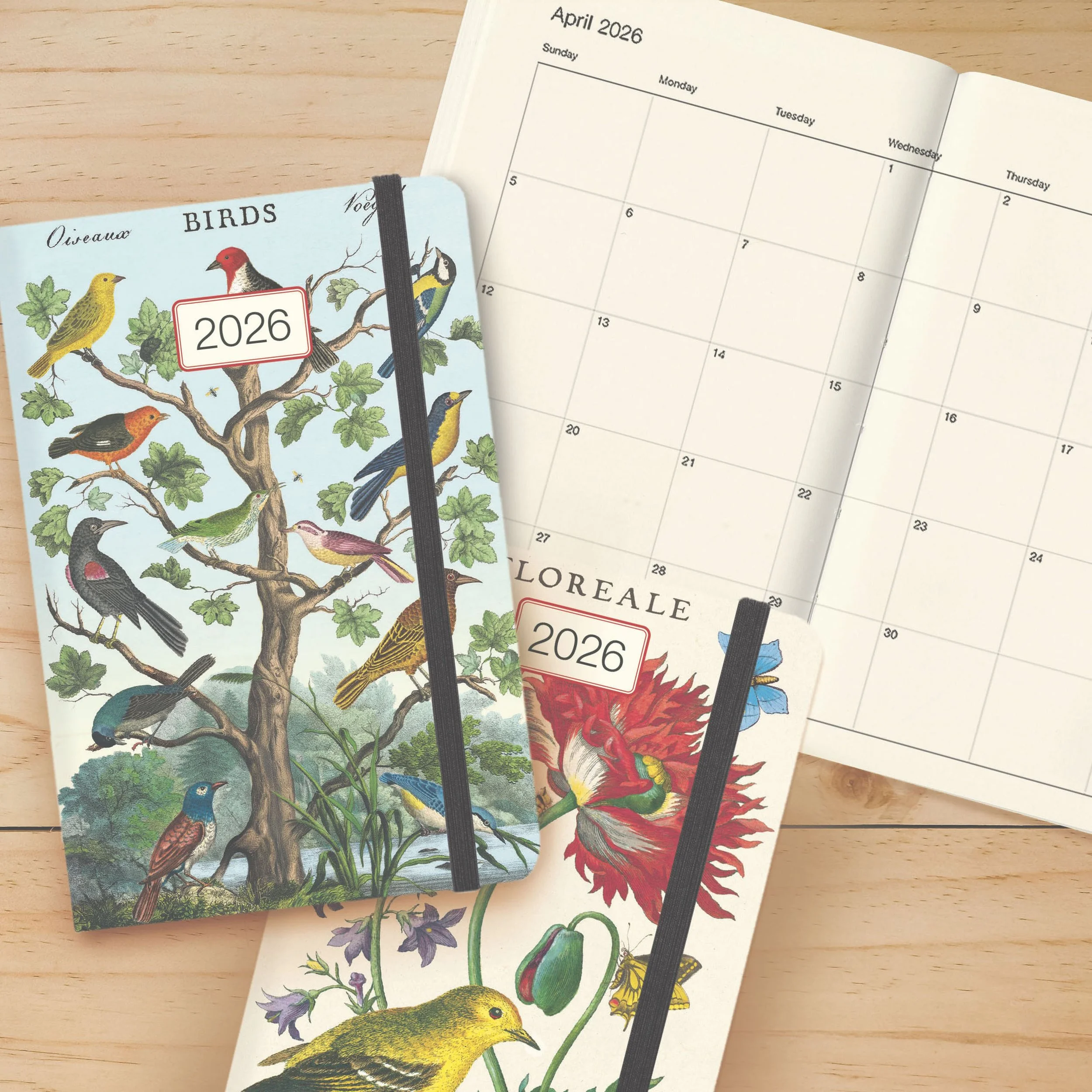 Cavallini Papers & Co.