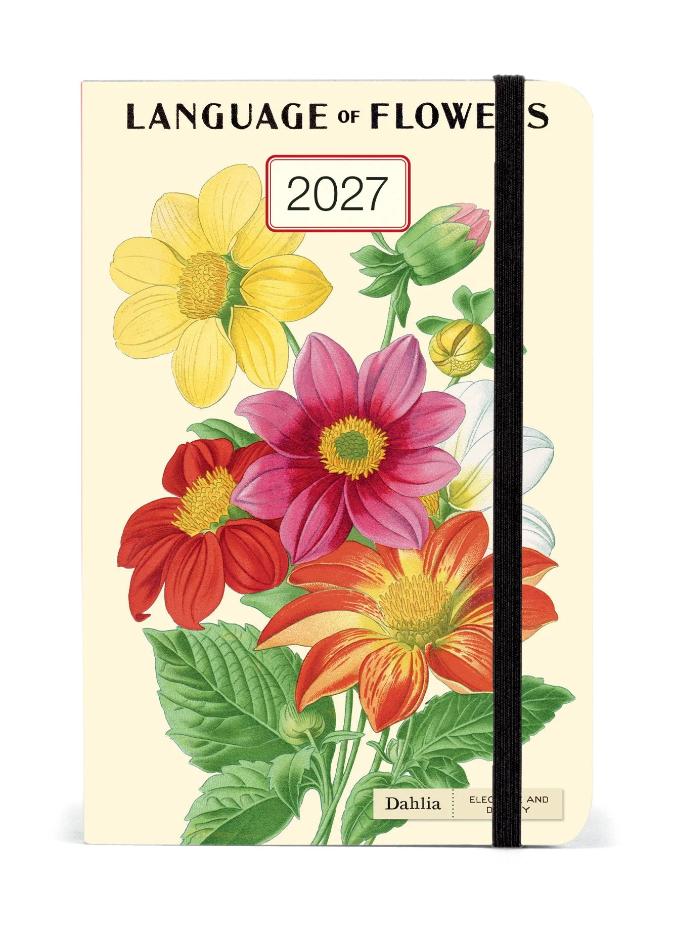 AG2027_LNGFLR.jpg