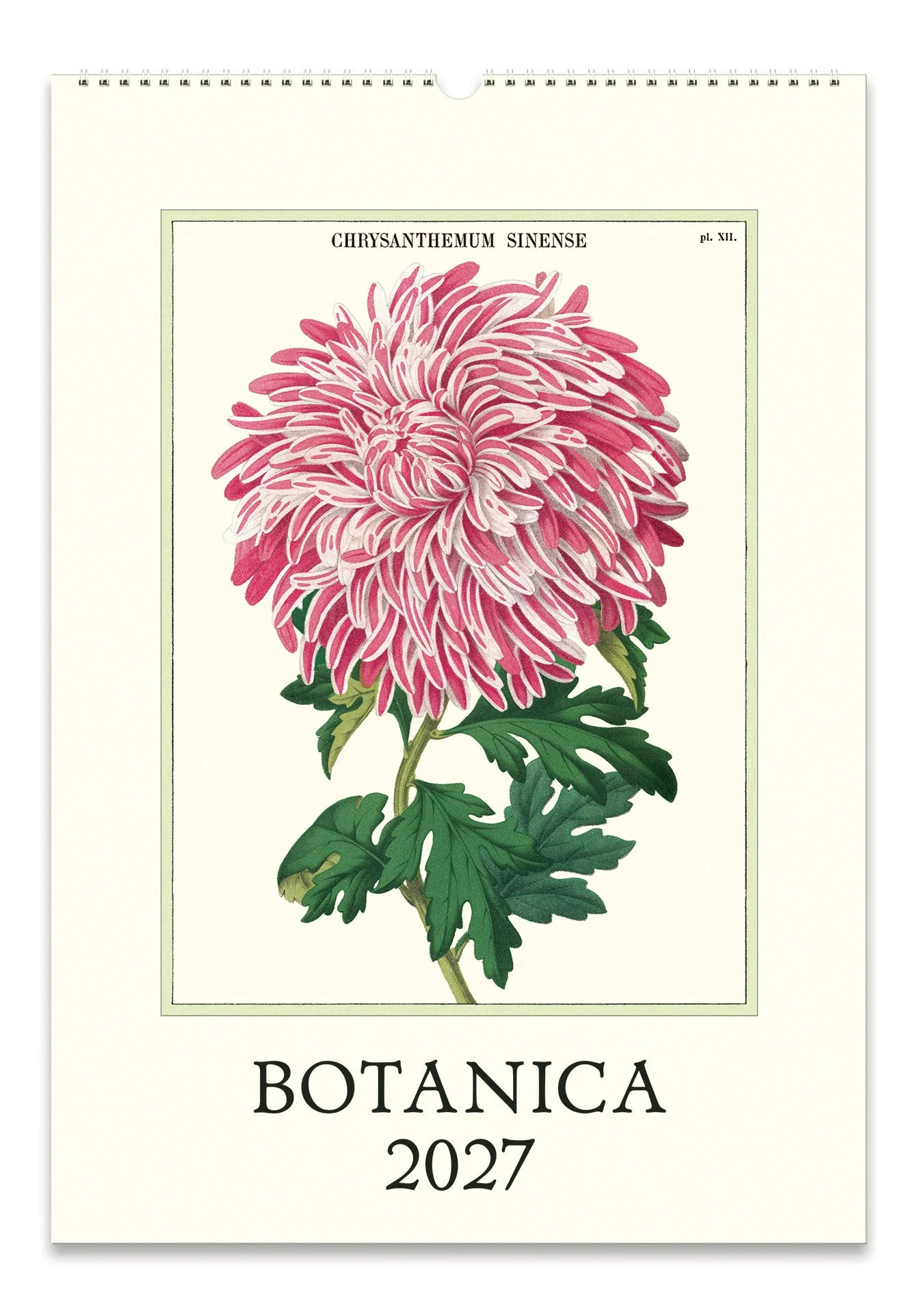 CAL27_39_Botanica_Wall.jpg