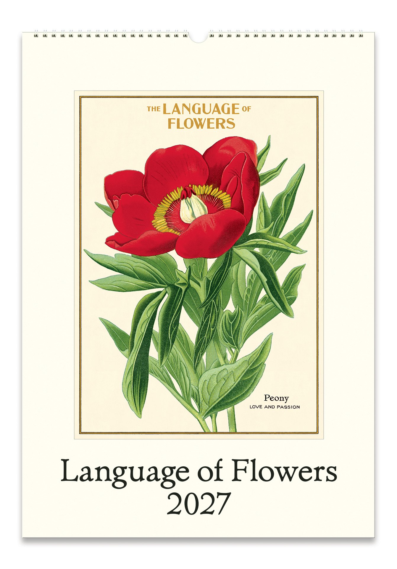 CAL27_36_LanguageOfFlowers_Wall.jpg