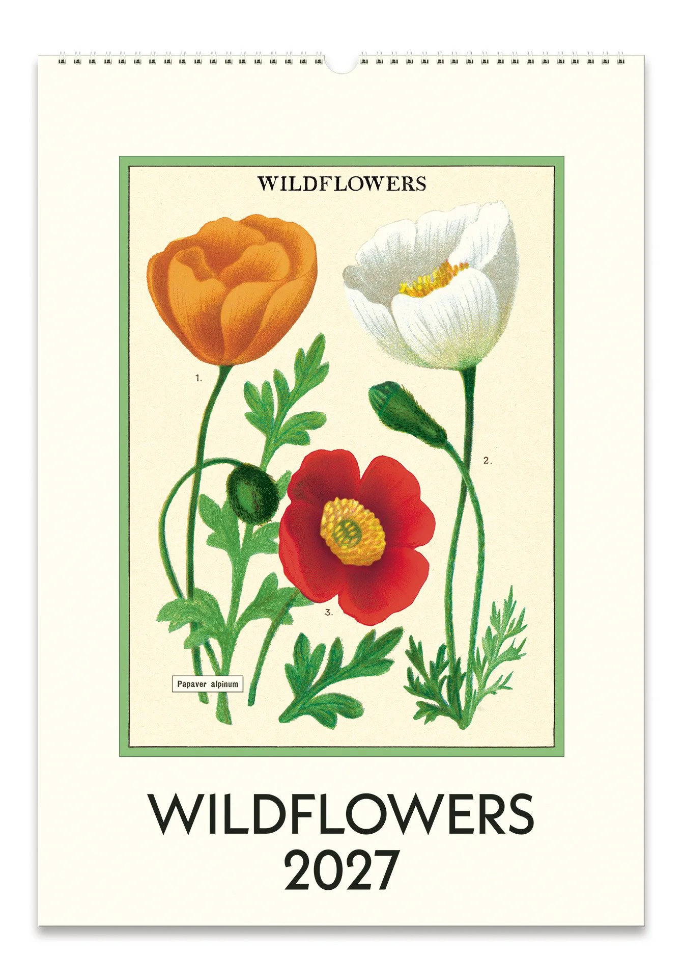 CAL27_30_Wildflowers_Wall.jpg