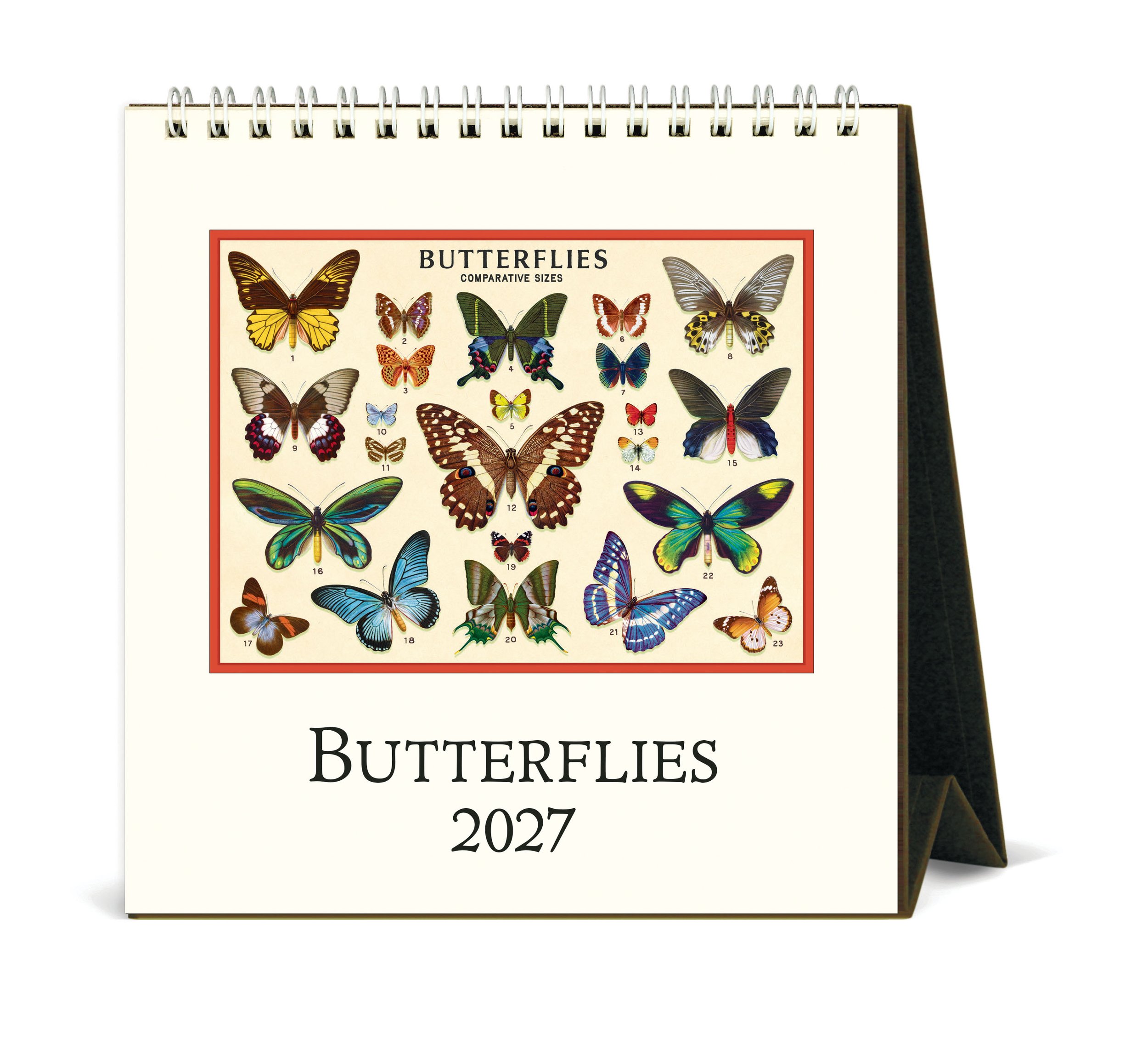 CAL27_17_Butterflies_Desk.jpg