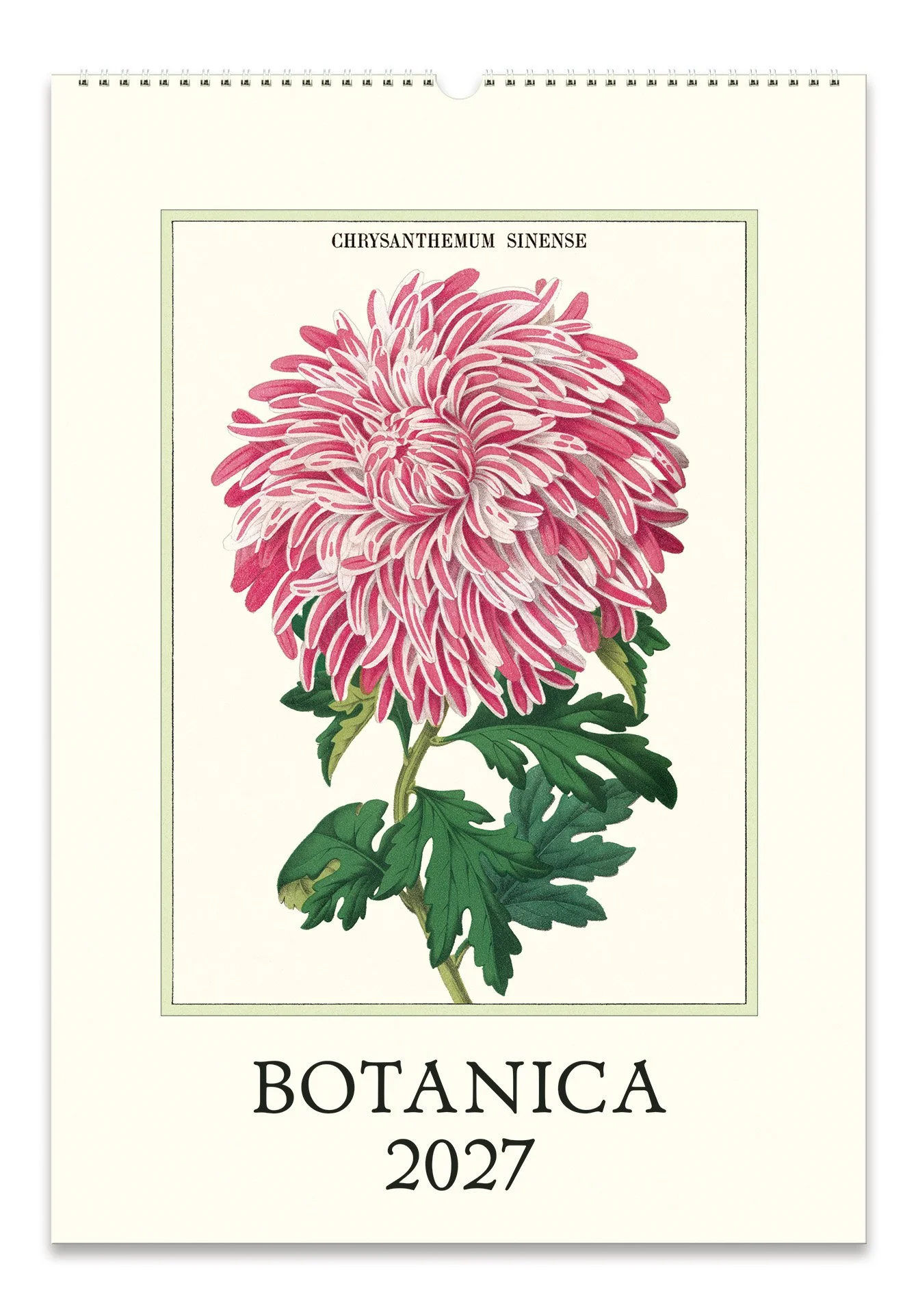 CAL27_39_Botanica_Wall.jpg